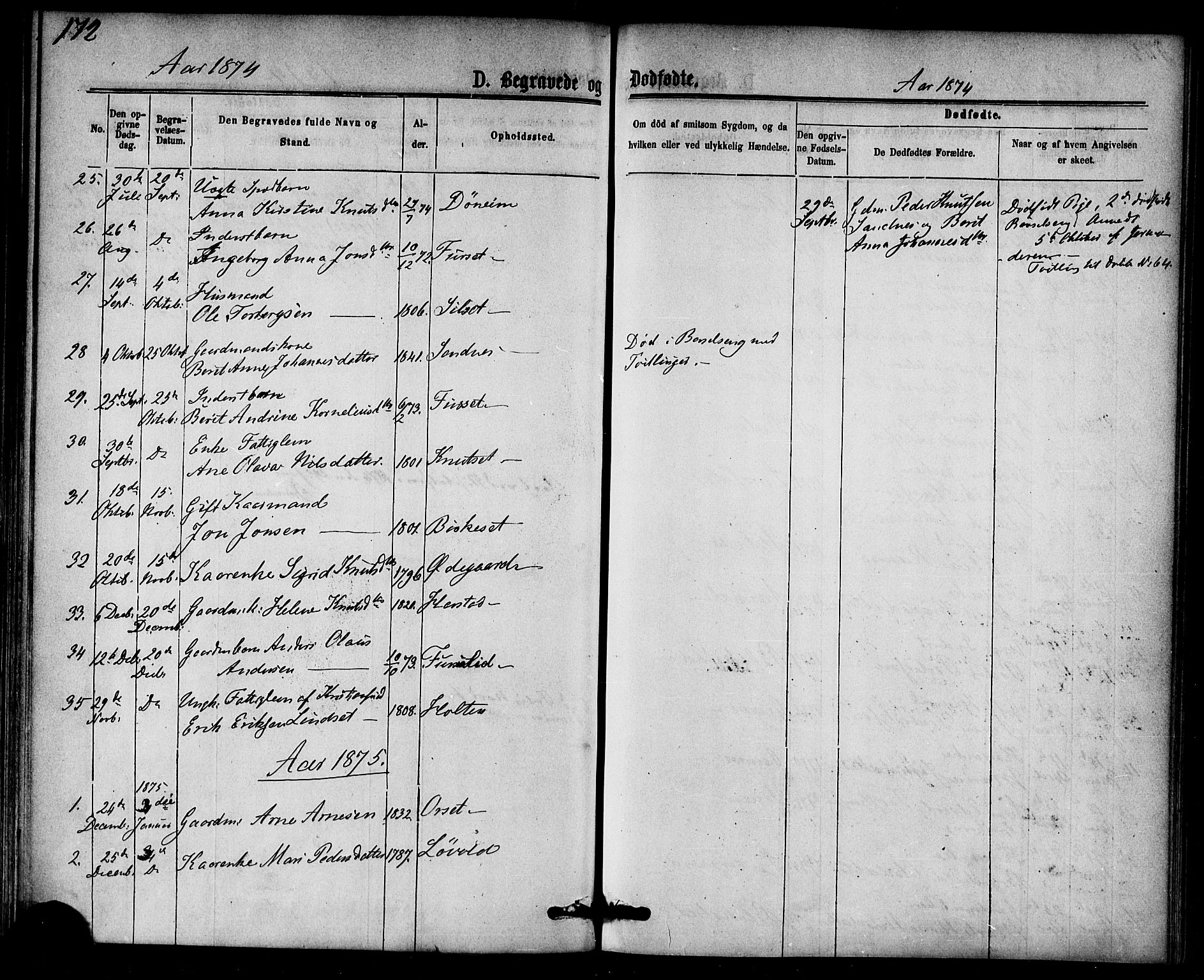 Ministerialprotokoller, klokkerbøker og fødselsregistre - Møre og Romsdal, AV/SAT-A-1454/584/L0966: Parish register (official) no. 584A06, 1869-1878, p. 172