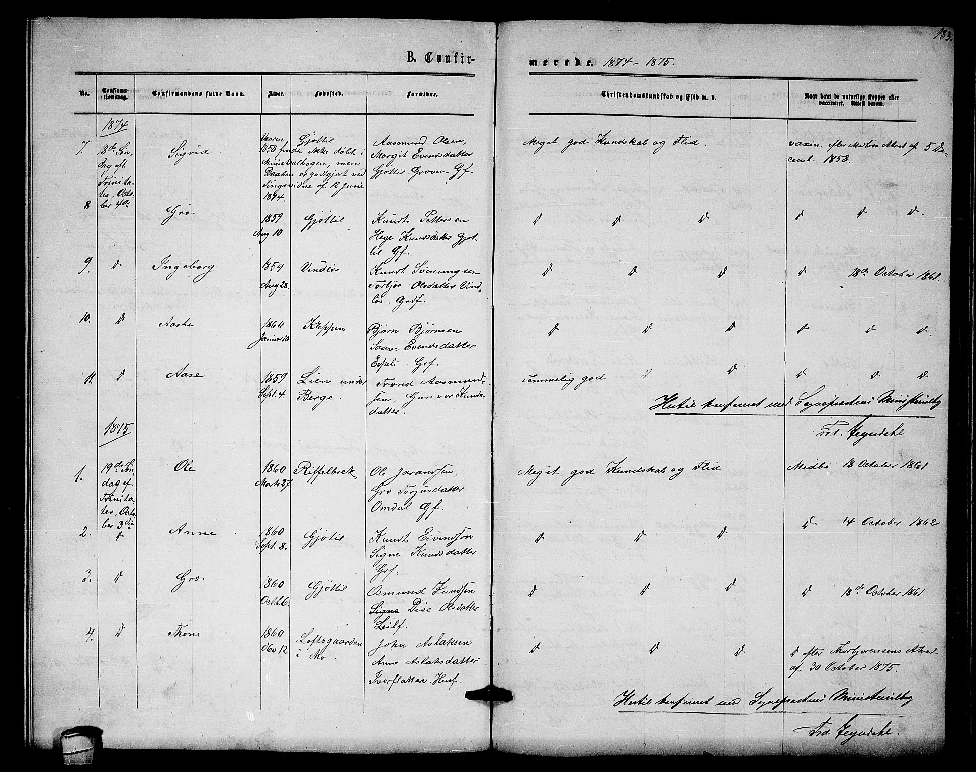Lårdal kirkebøker, SAKO/A-284/G/Gb/L0002: Parish register (copy) no. II 2, 1865-1888, p. 133