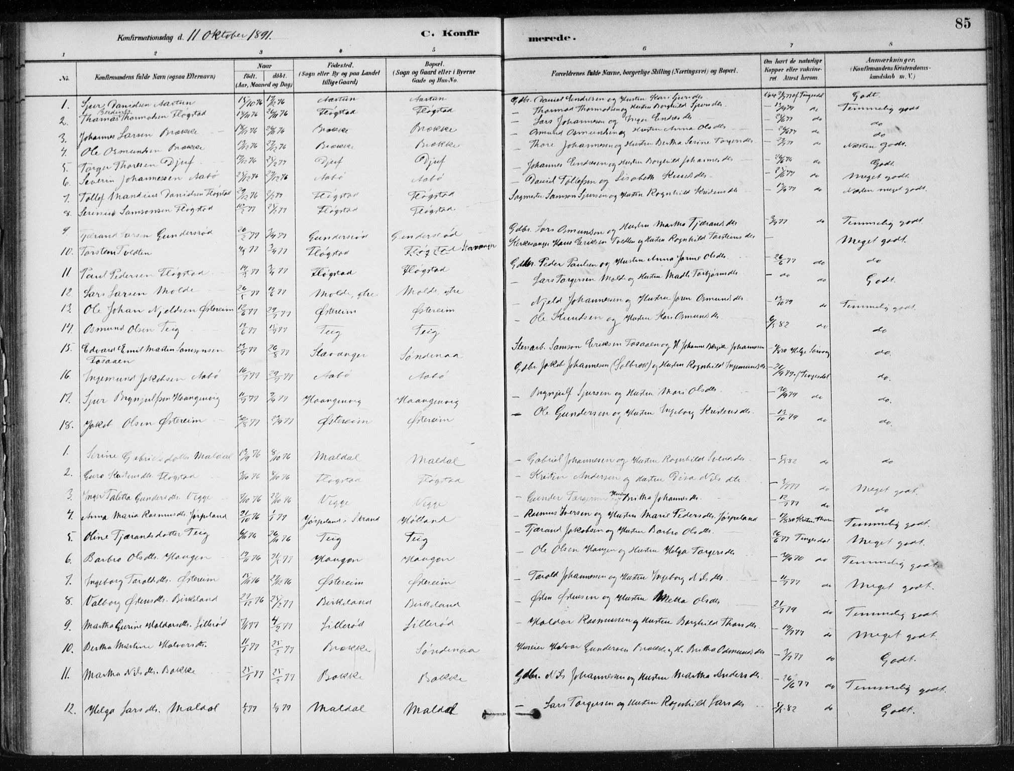 Sand sokneprestkontor, AV/SAST-A-101848/01/III/L0006: Parish register (official) no. A 6, 1880-1898, p. 85