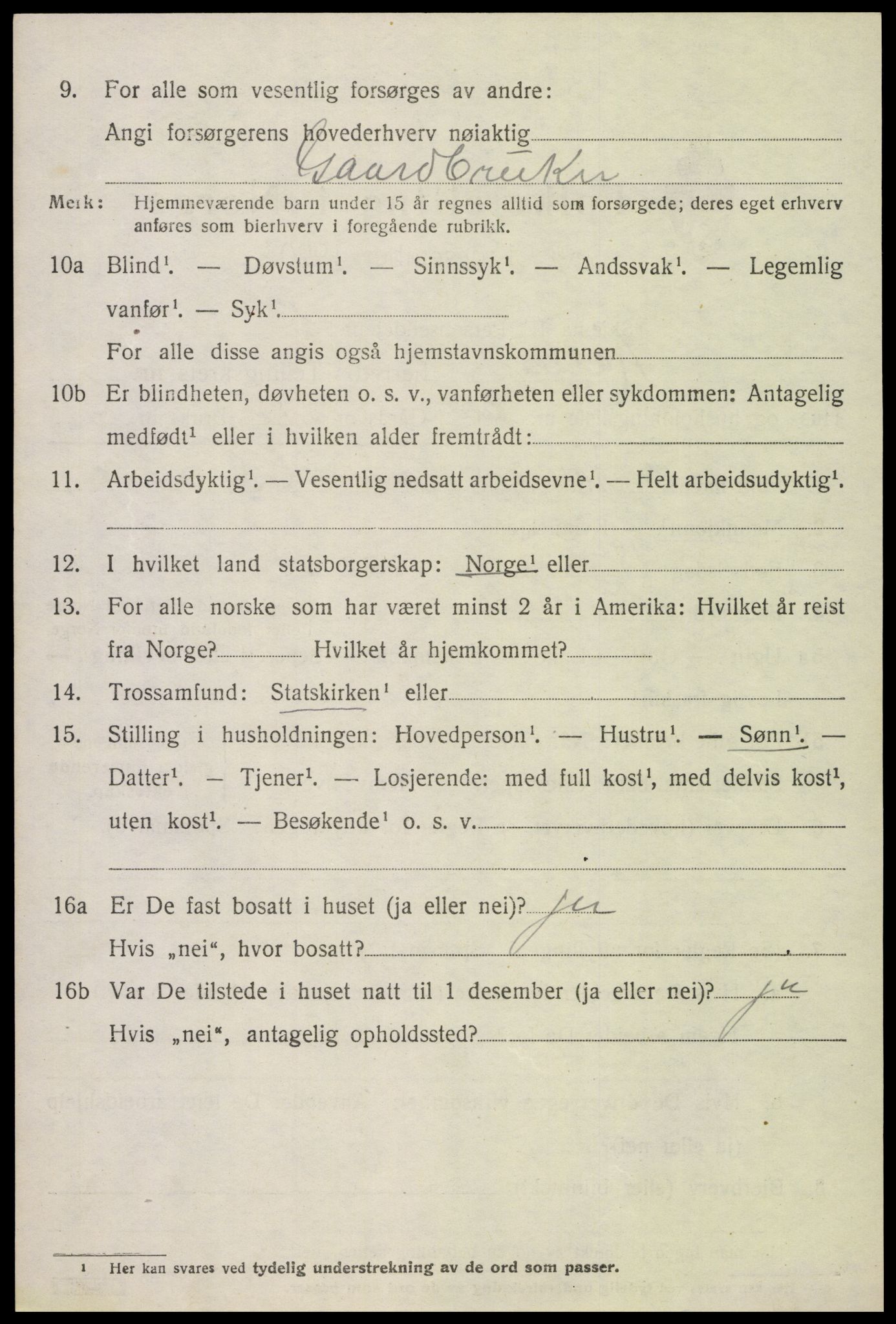 SAH, 1920 census for Kolbu, 1920, p. 3119