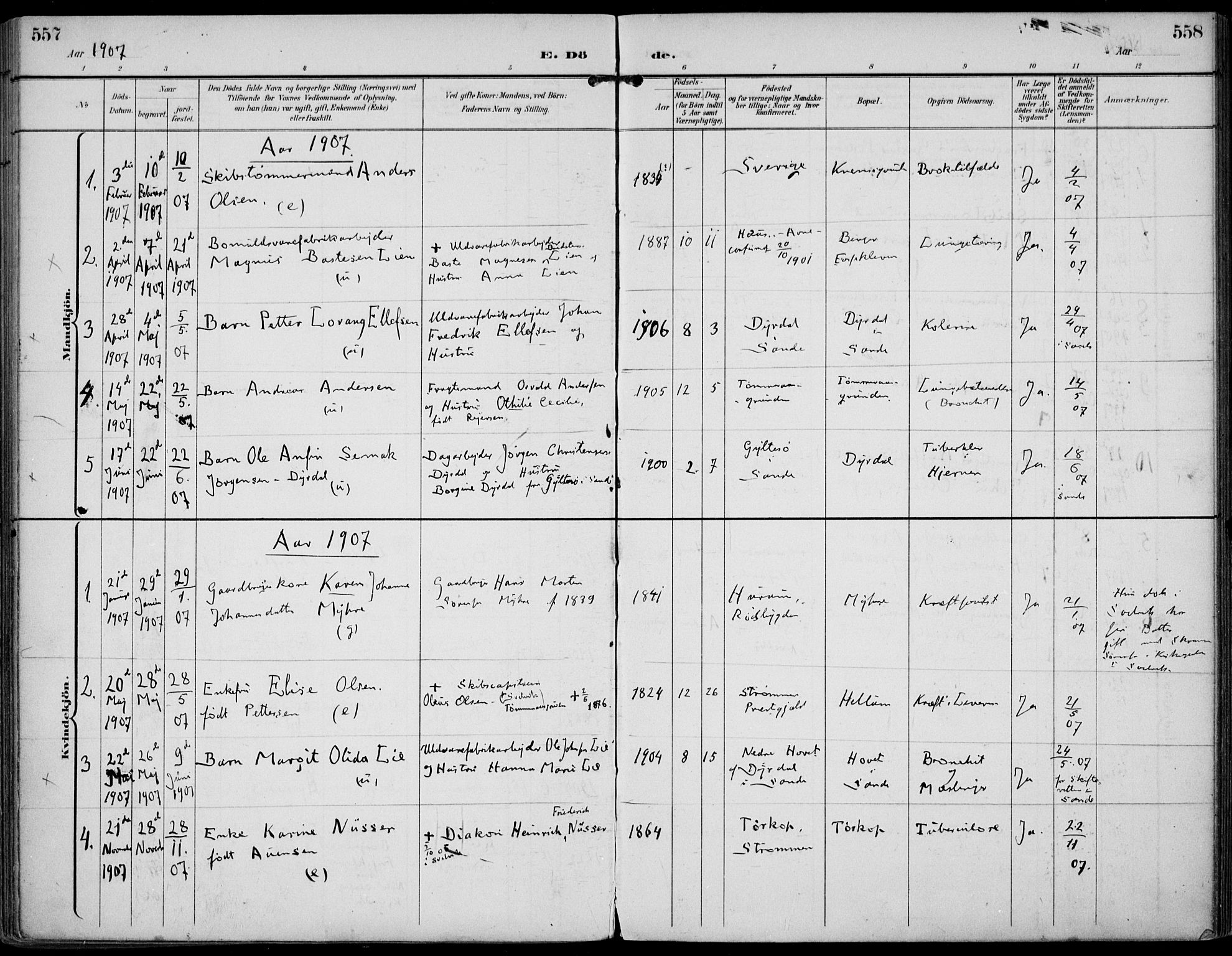 Strømm kirkebøker, AV/SAKO-A-322/F/Fa/L0005: Parish register (official) no. I 5, 1898-1919, p. 557-558