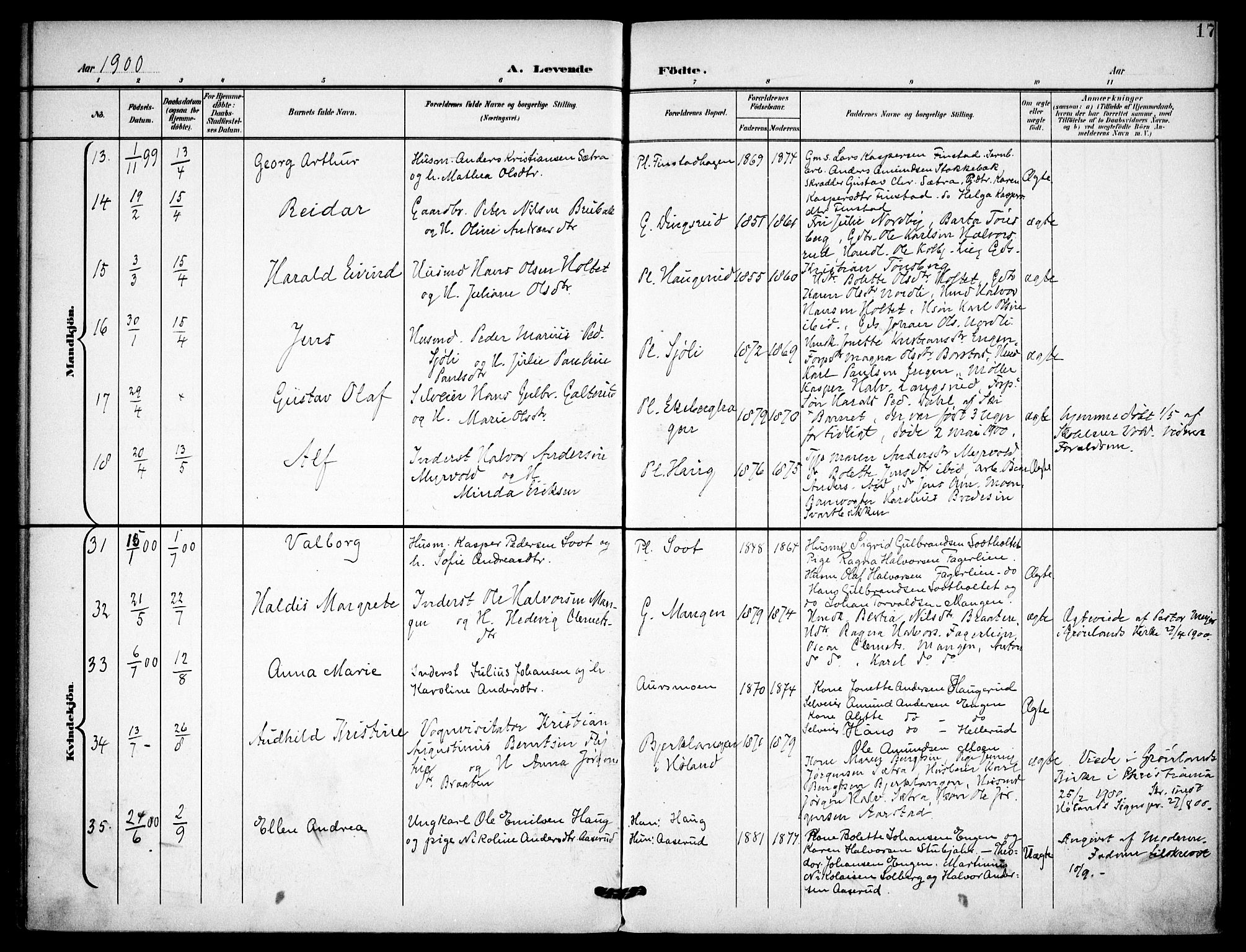 Aurskog prestekontor Kirkebøker, AV/SAO-A-10304a/F/Fa/L0010: Parish register (official) no. I 10, 1898-1905, p. 17