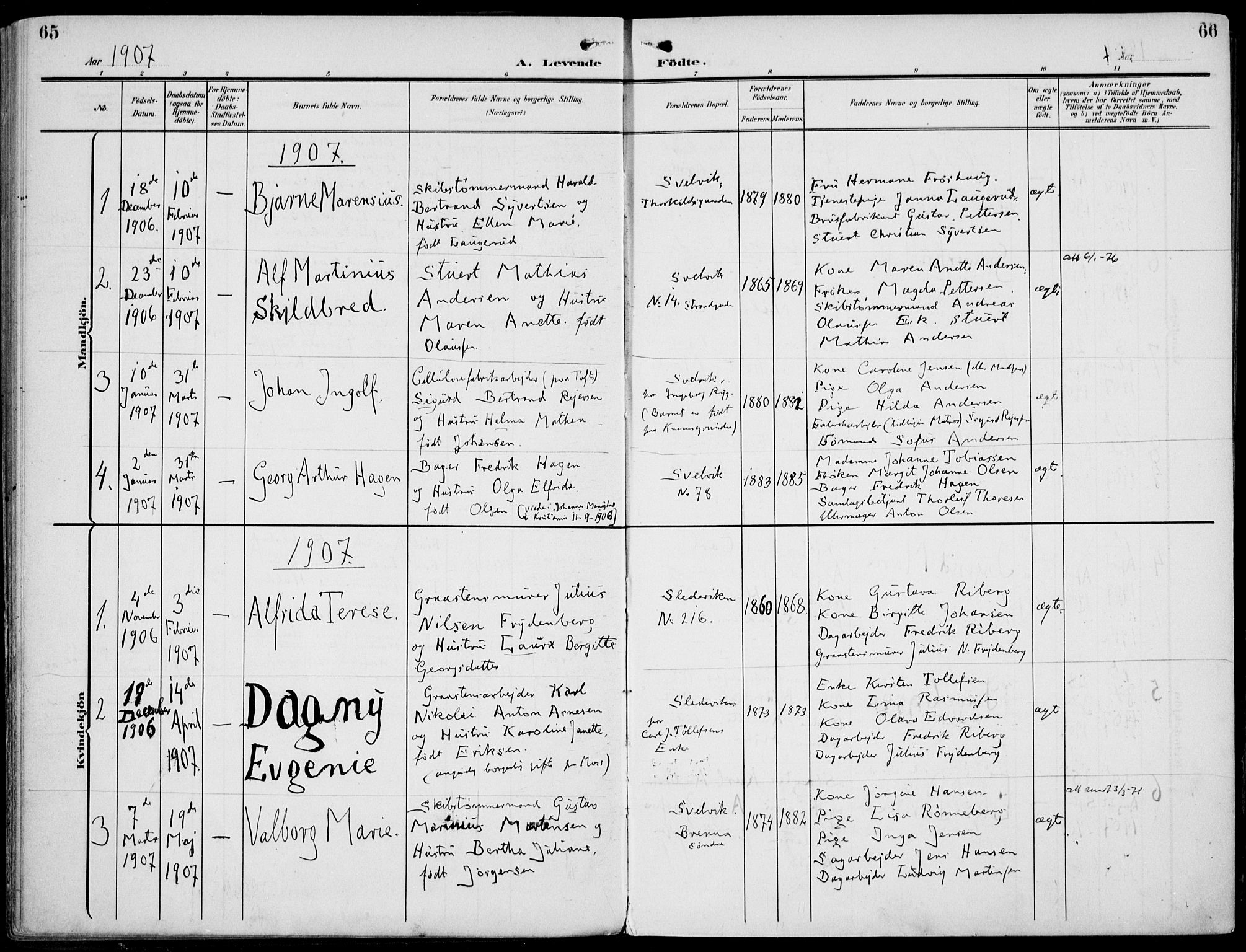 Strømm kirkebøker, AV/SAKO-A-322/F/Fb/L0002: Parish register (official) no. II 2, 1900-1919, p. 65-66