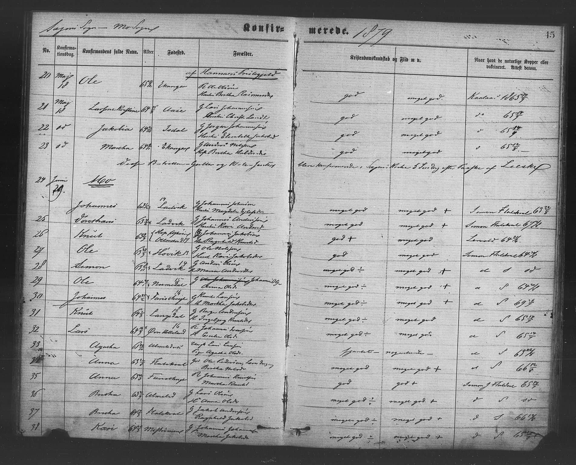 Hosanger sokneprestembete, AV/SAB-A-75801/H/Haa: Parish register (official) no. A 10, 1877-1879, p. 45