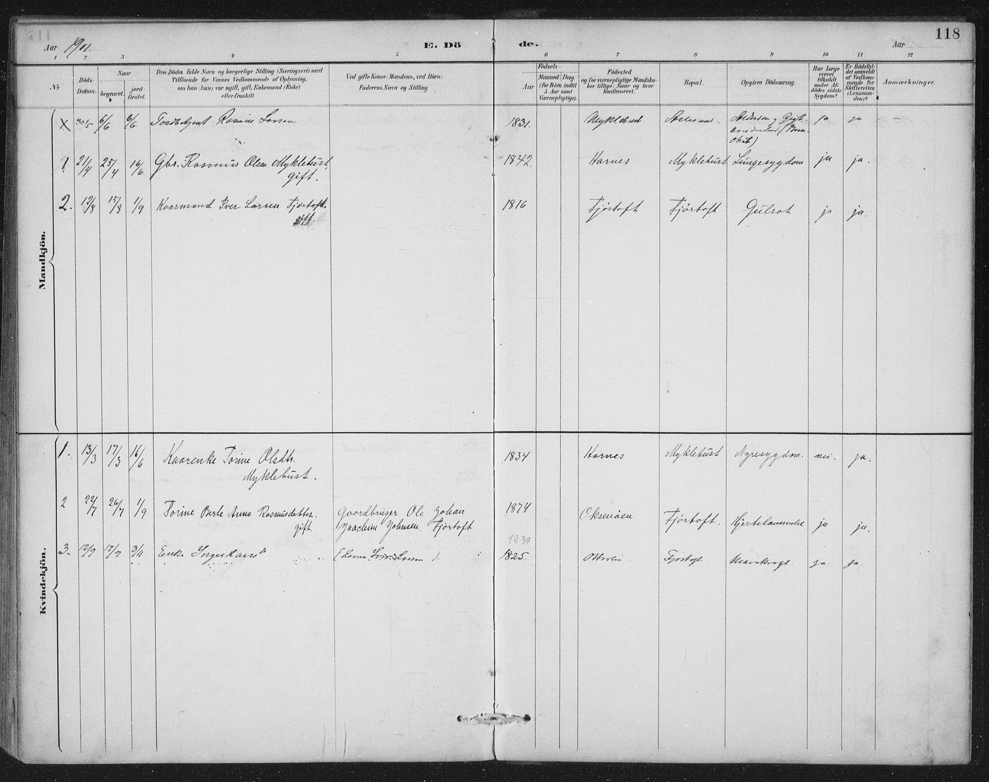 Ministerialprotokoller, klokkerbøker og fødselsregistre - Møre og Romsdal, SAT/A-1454/538/L0522: Parish register (official) no. 538A01, 1884-1913, p. 118