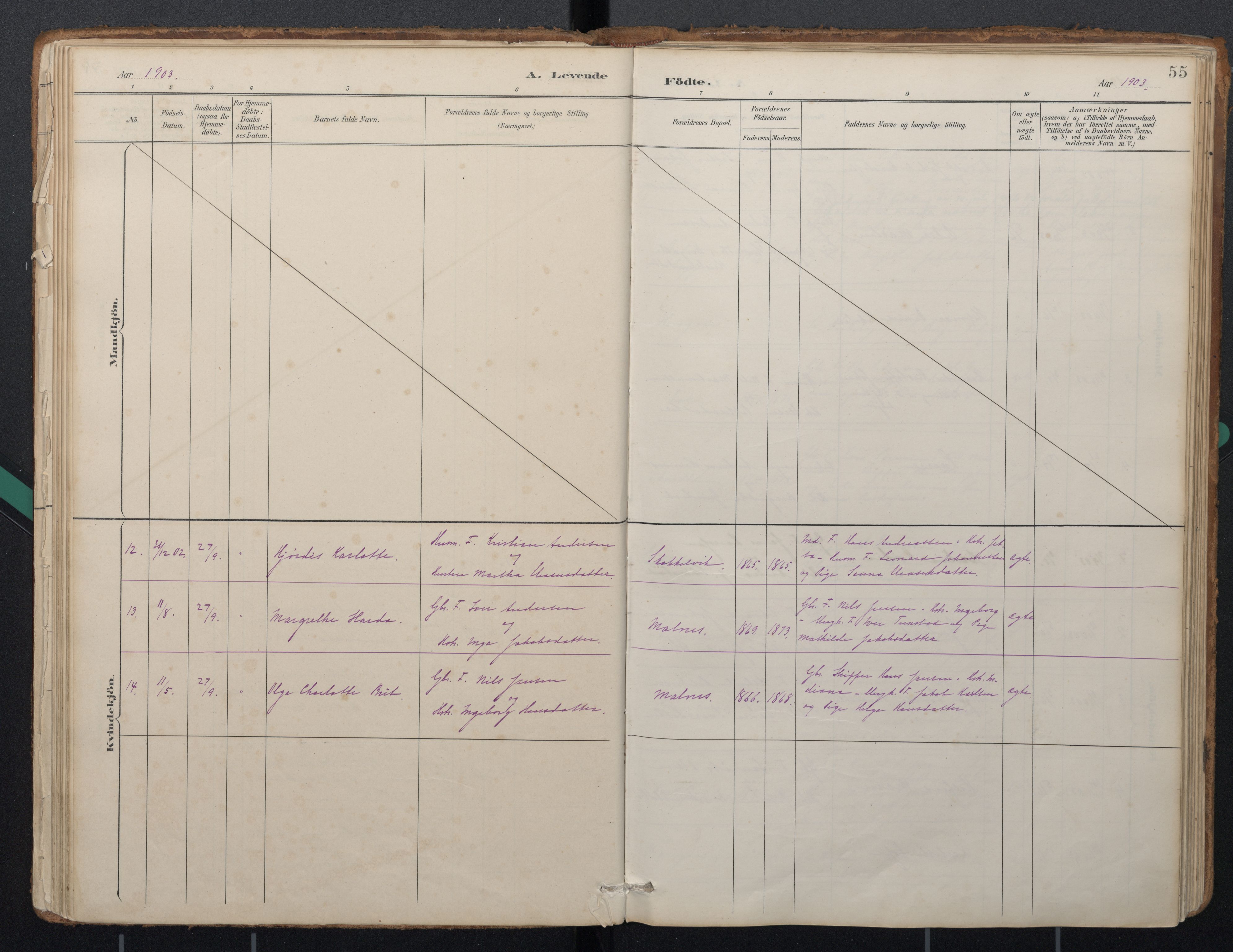 Ministerialprotokoller, klokkerbøker og fødselsregistre - Nordland, AV/SAT-A-1459/884/L1193: Parish register (official) no. 884A01, 1888-1905, p. 55