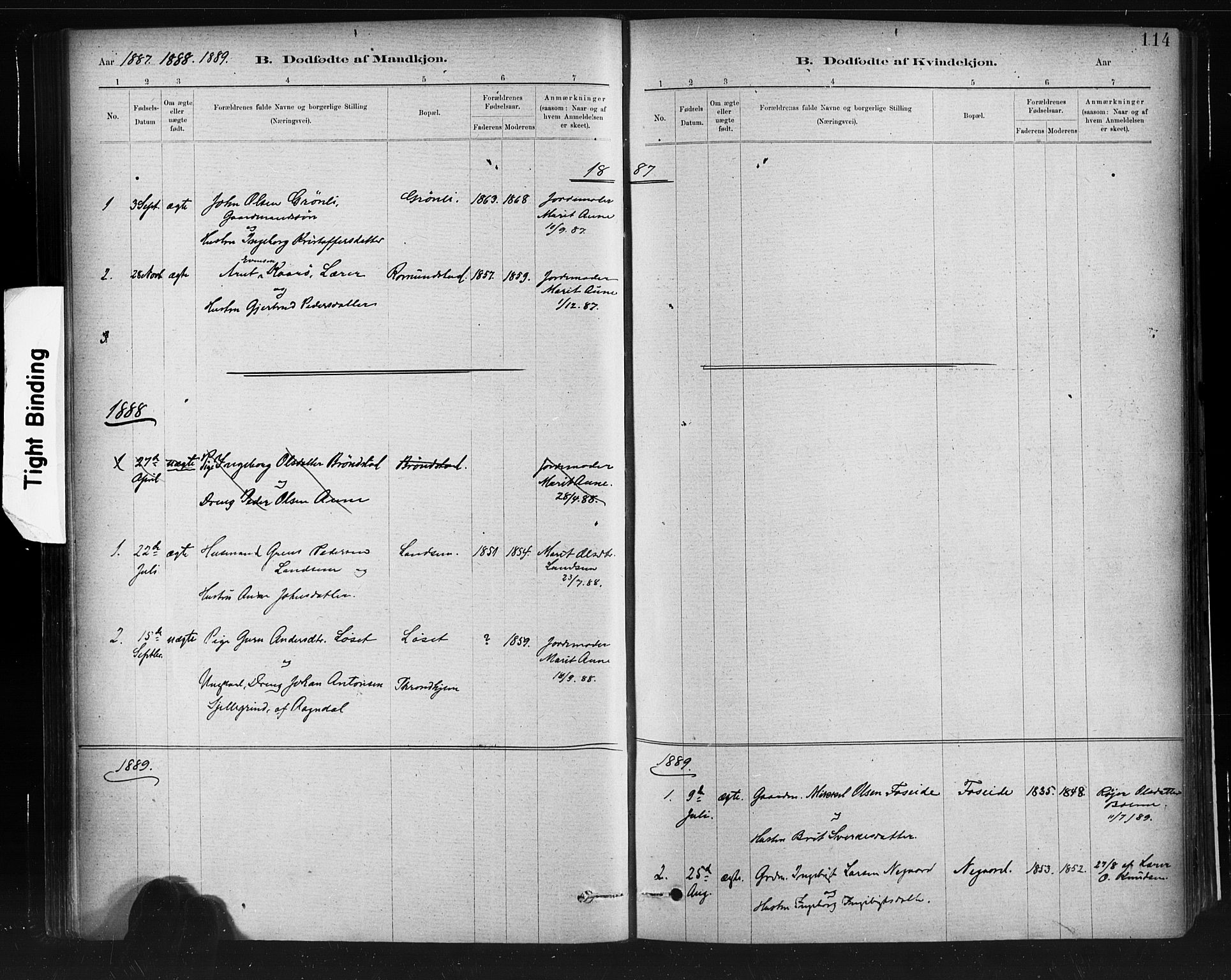 Ministerialprotokoller, klokkerbøker og fødselsregistre - Møre og Romsdal, AV/SAT-A-1454/598/L1069: Parish register (official) no. 598A03, 1882-1895, p. 114