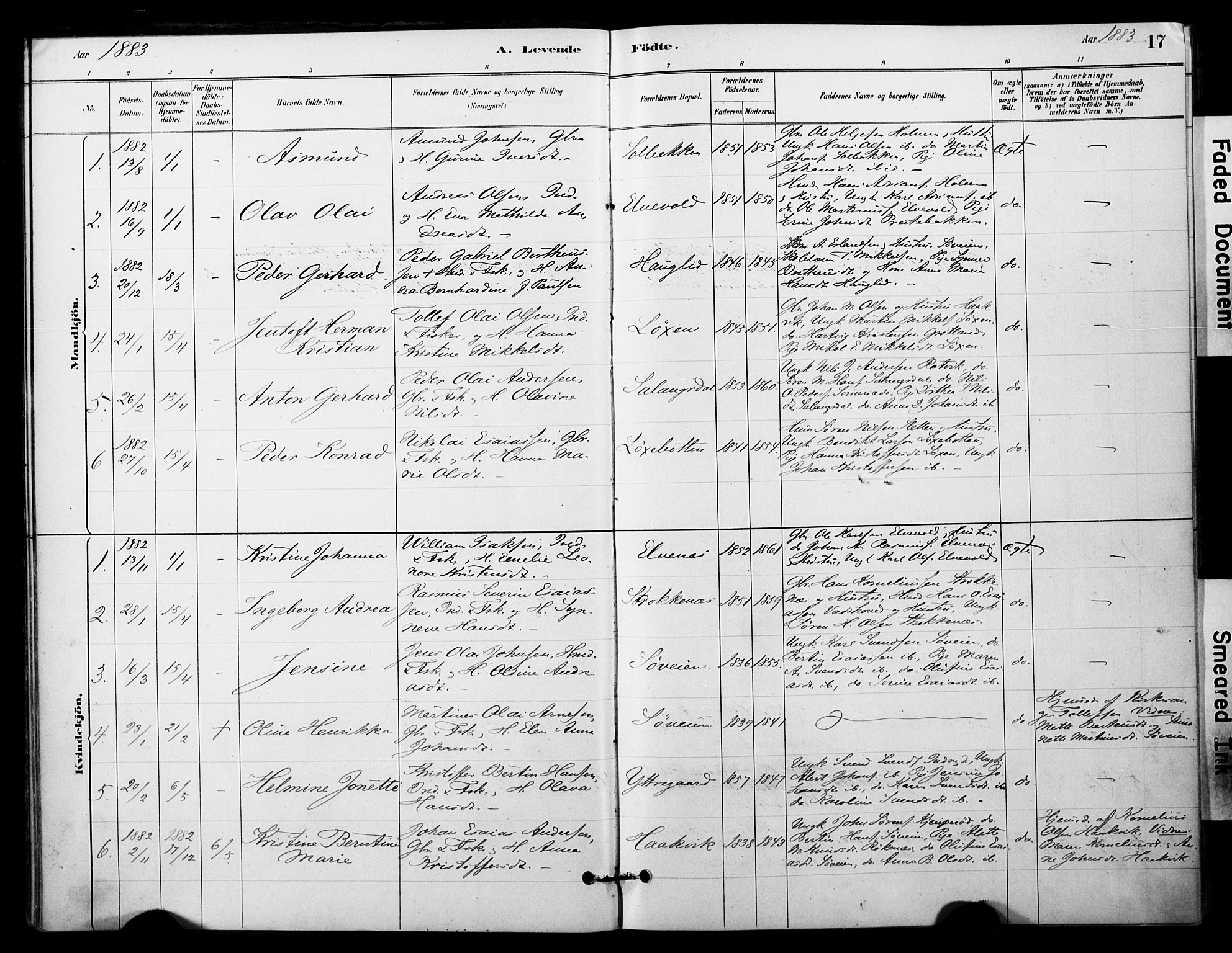 Ibestad sokneprestembete, AV/SATØ-S-0077/H/Ha/Haa/L0014kirke: Parish register (official) no. 14, 1880-1887, p. 17