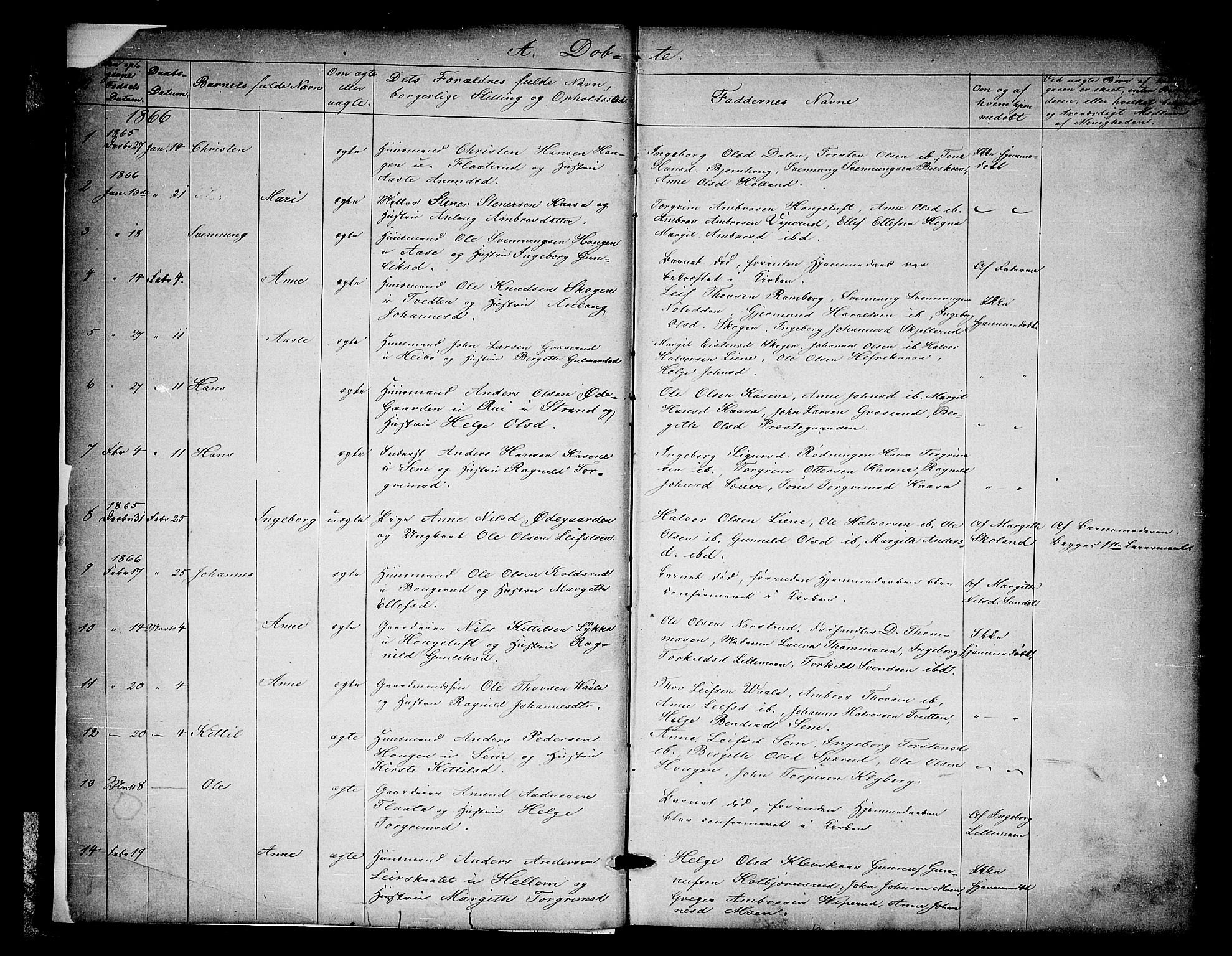Heddal kirkebøker, SAKO/A-268/G/Ga/L0001: Parish register (copy) no. I 1, 1866-1878, p. 2-3
