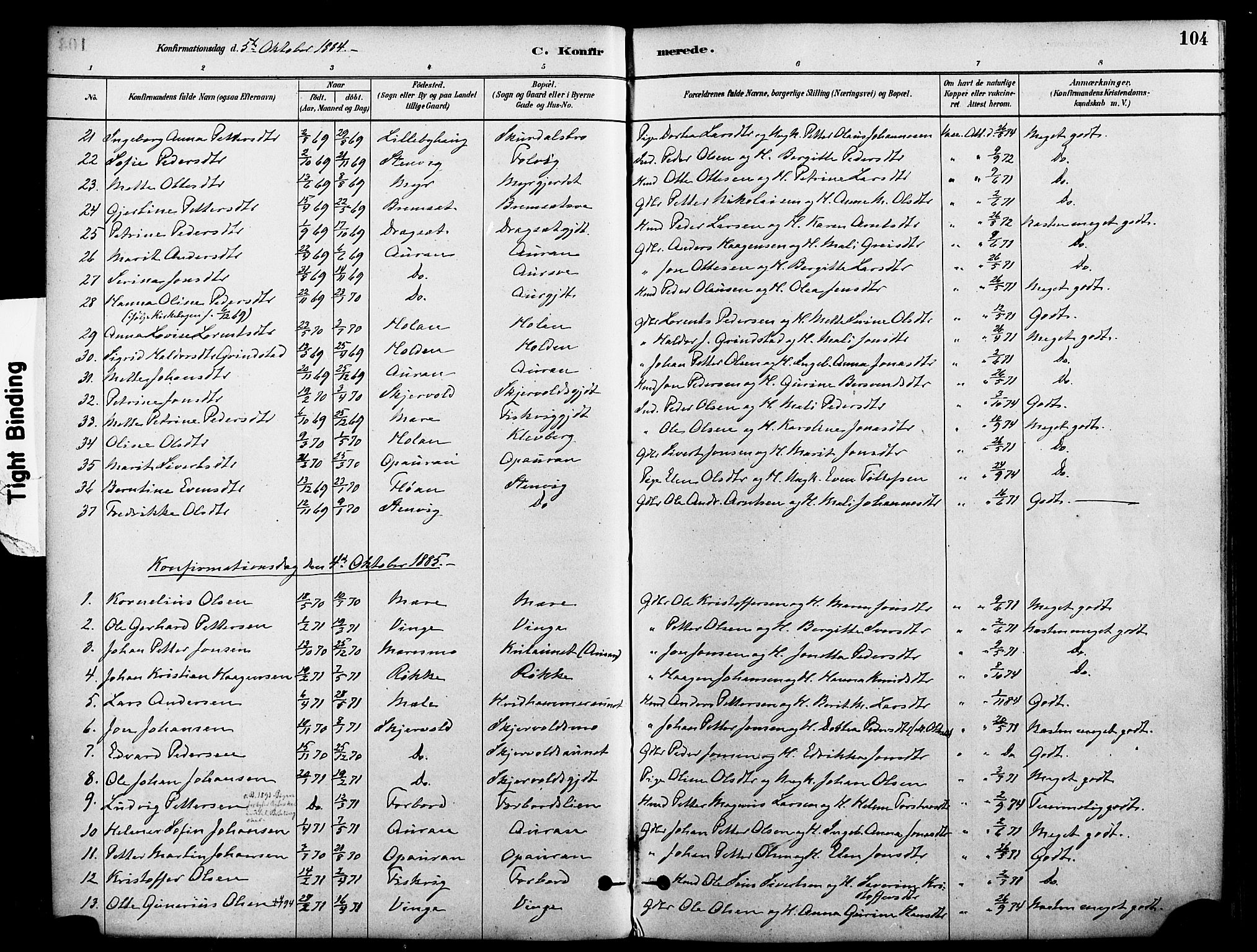 Ministerialprotokoller, klokkerbøker og fødselsregistre - Nord-Trøndelag, SAT/A-1458/712/L0100: Parish register (official) no. 712A01, 1880-1900, p. 104