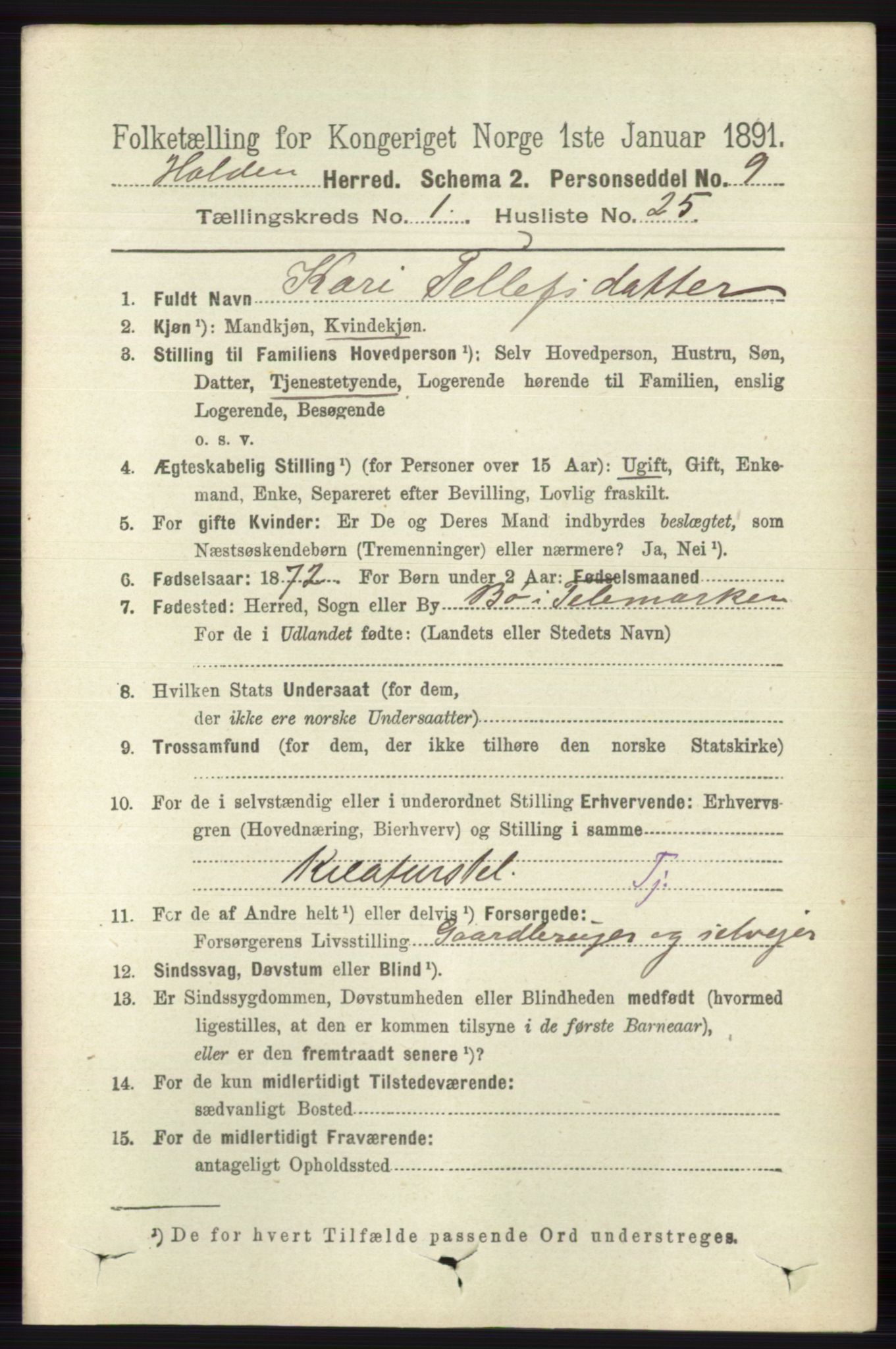 RA, 1891 census for 0819 Holla, 1891, p. 355