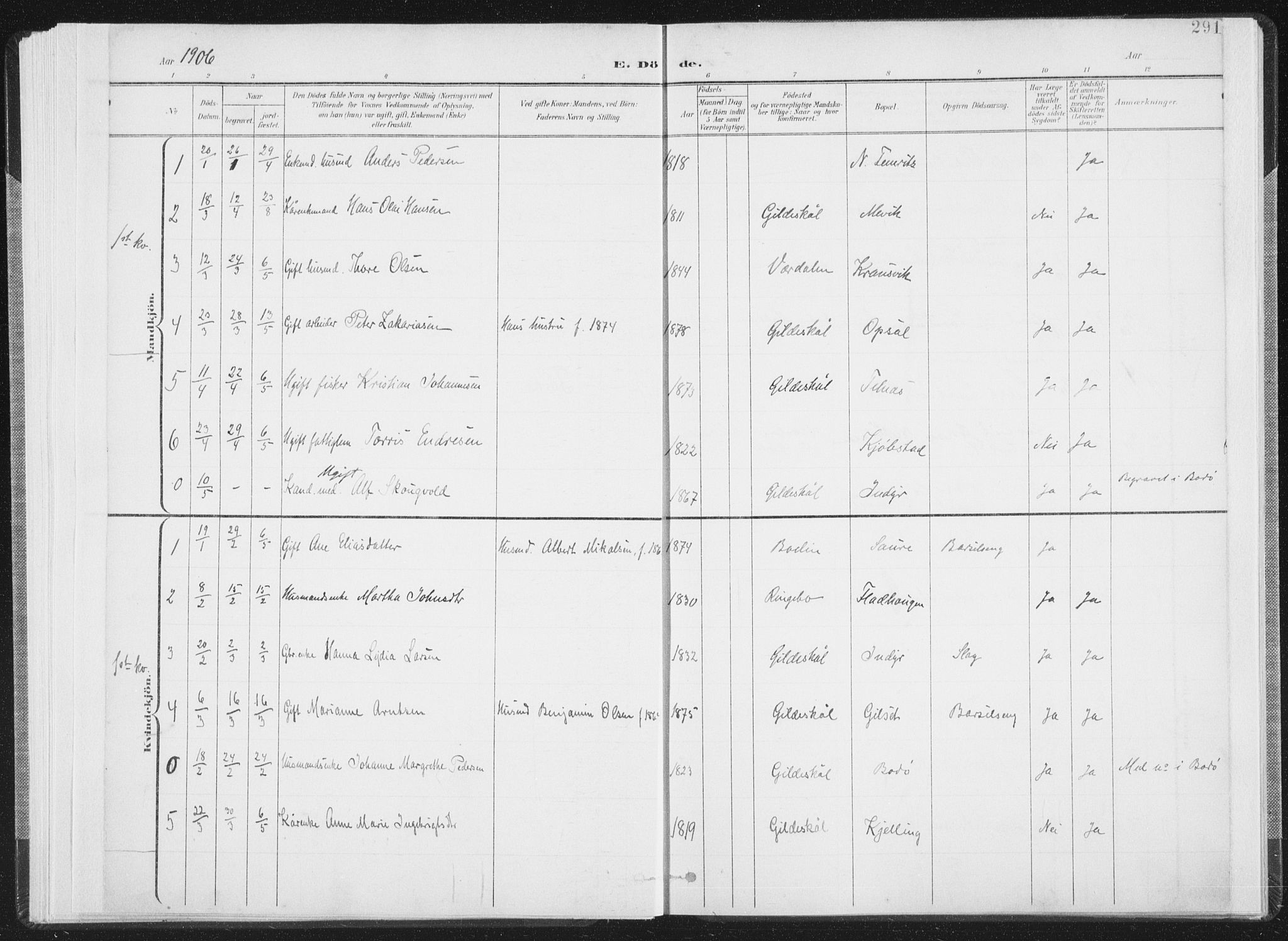 Ministerialprotokoller, klokkerbøker og fødselsregistre - Nordland, SAT/A-1459/805/L0103: Parish register (official) no. 805A08II, 1900-1909, p. 291