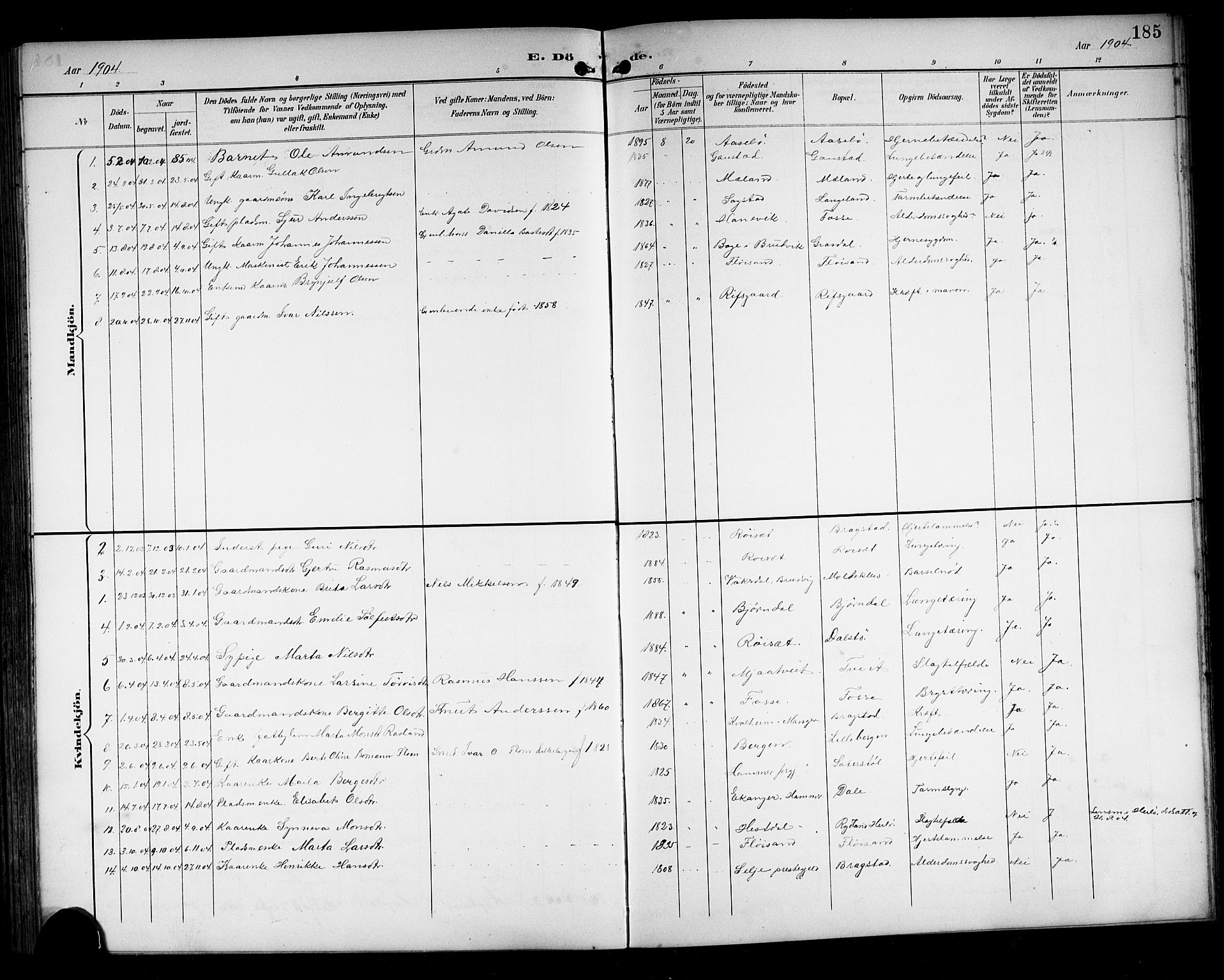 Alversund Sokneprestembete, SAB/A-73901/H/Ha/Hab: Parish register (copy) no. C 4, 1894-1924, p. 185