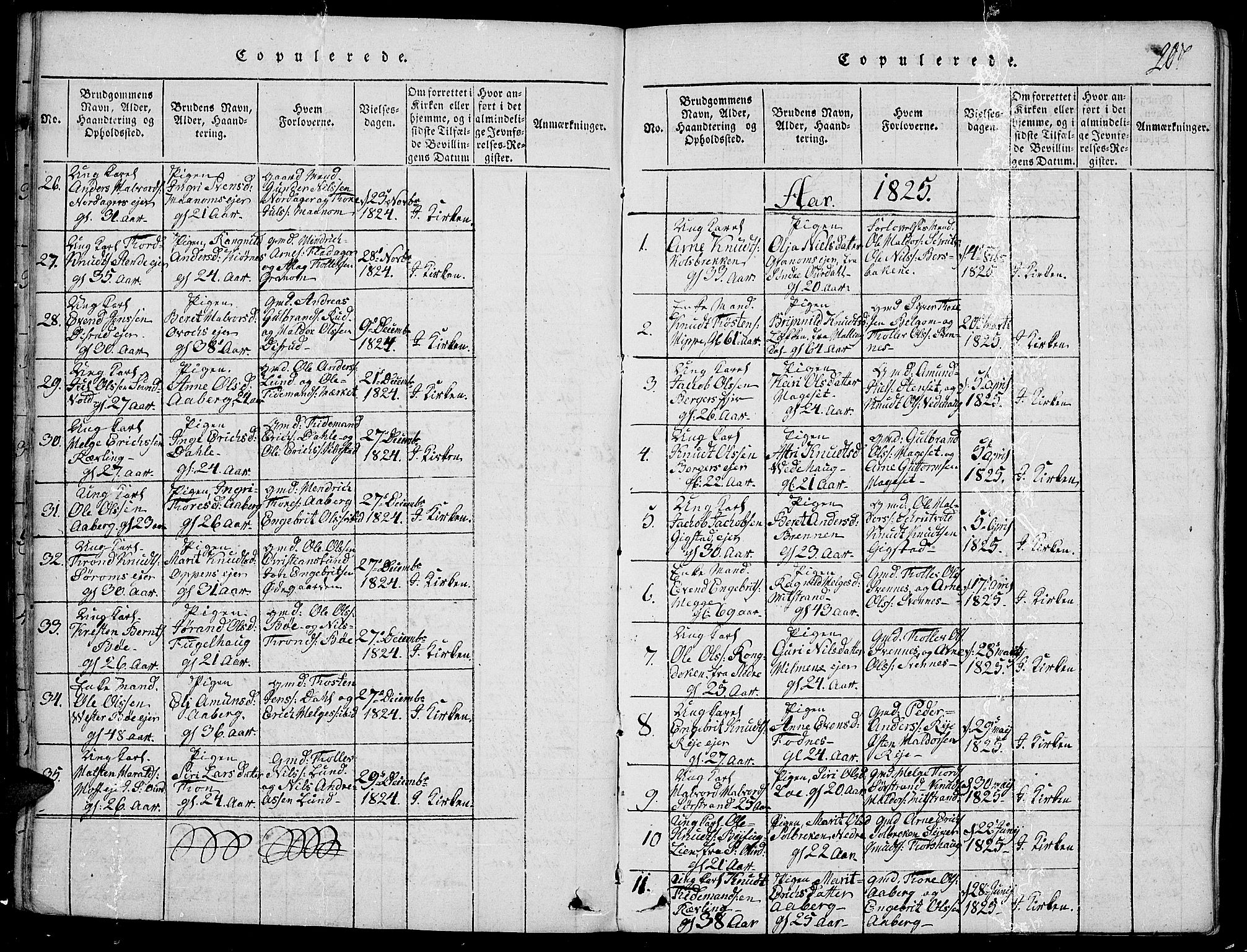 Nord-Aurdal prestekontor, SAH/PREST-132/H/Ha/Haa/L0002: Parish register (official) no. 2, 1816-1828, p. 207