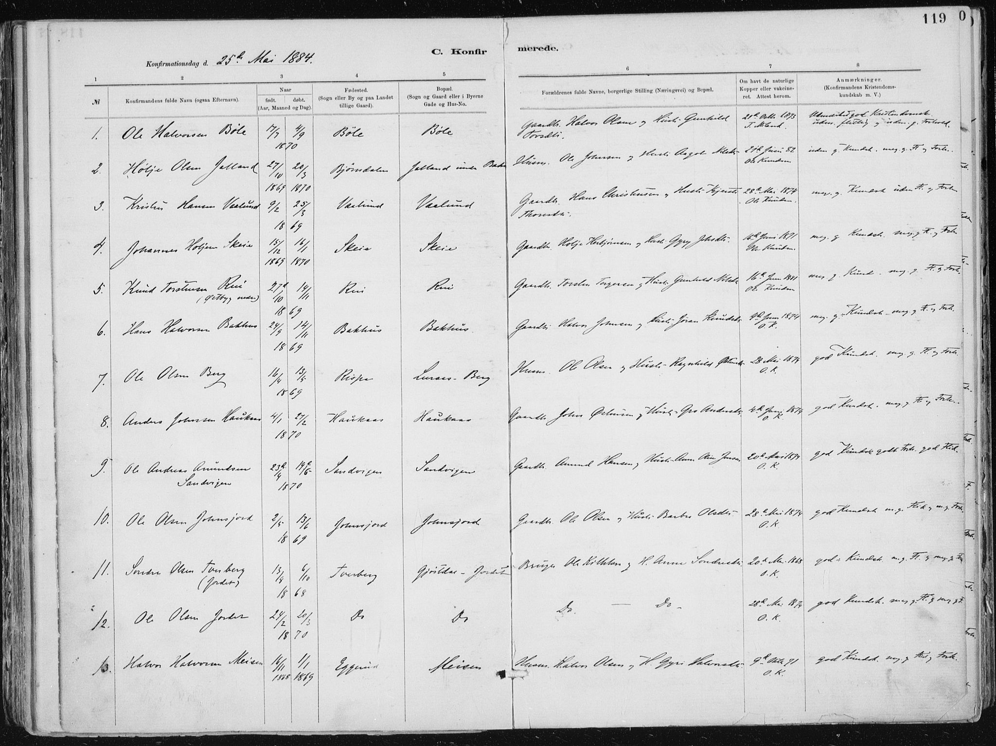 Tinn kirkebøker, AV/SAKO-A-308/F/Fa/L0007: Parish register (official) no. I 7, 1878-1922, p. 119