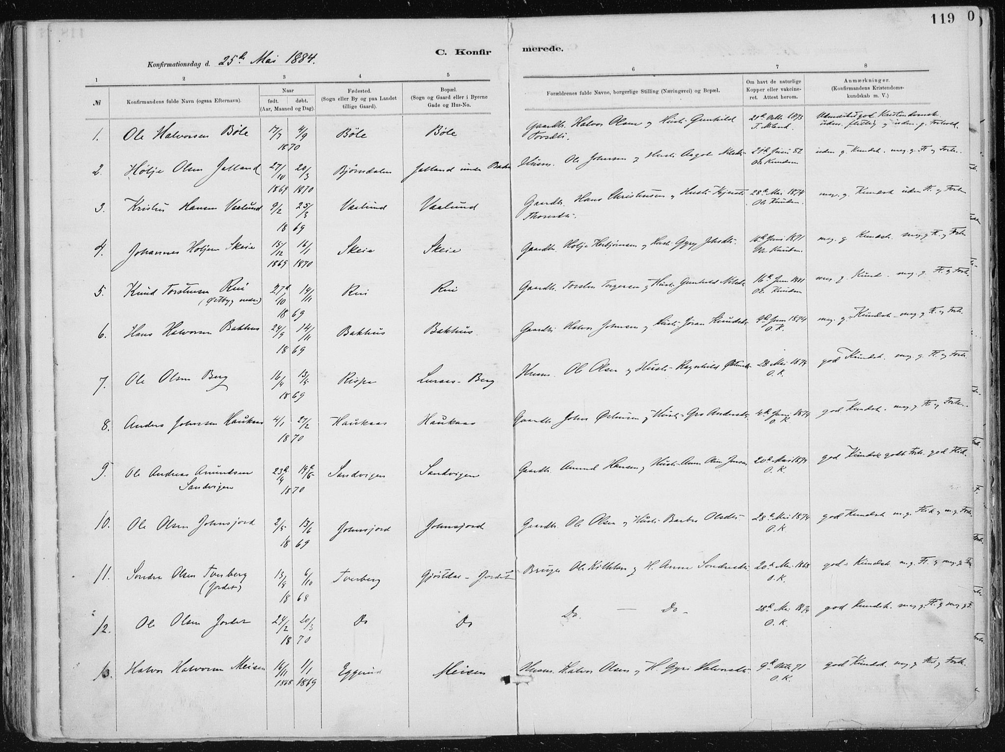 Tinn kirkebøker, SAKO/A-308/F/Fa/L0007: Parish register (official) no. I 7, 1878-1922, p. 119