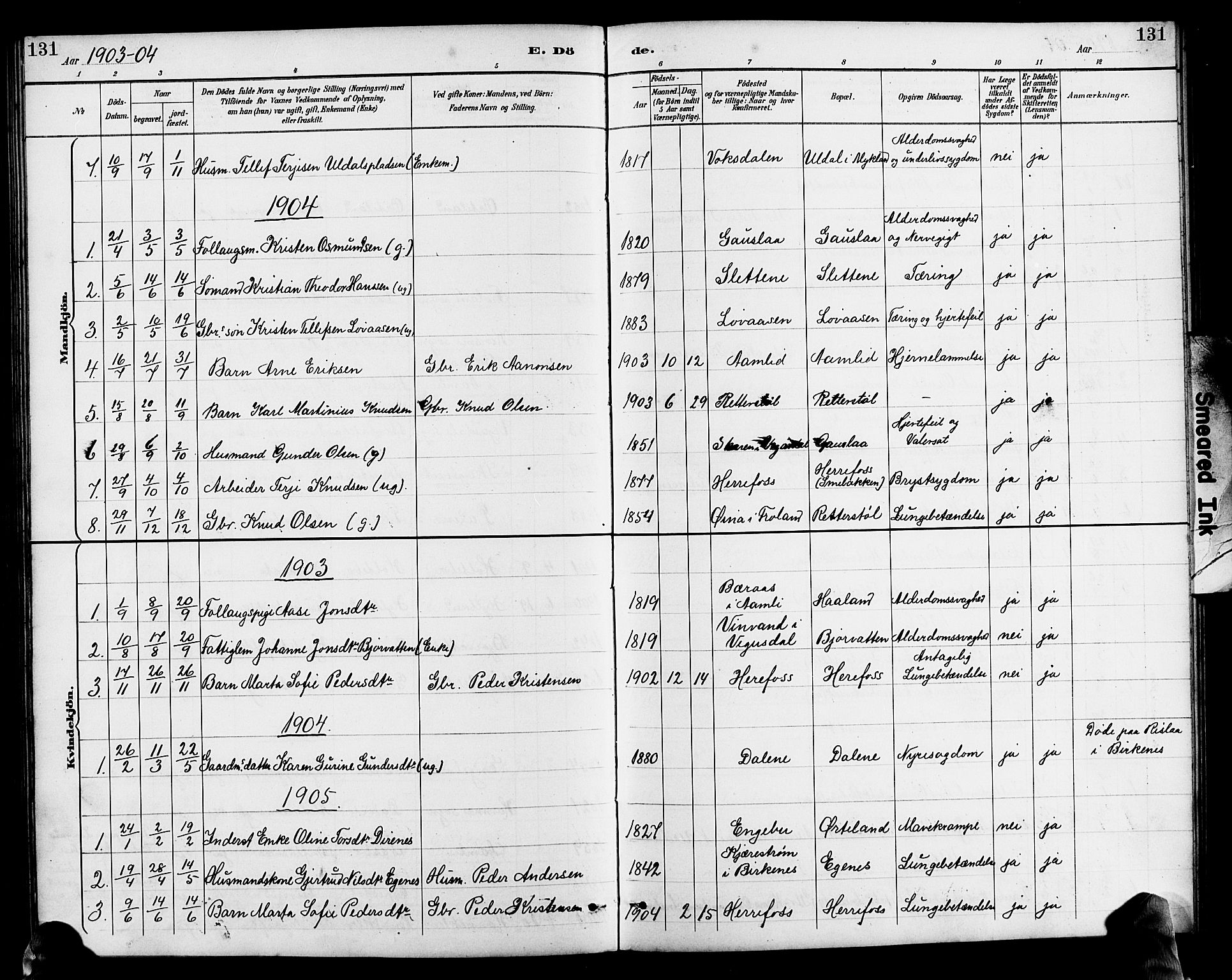 Herefoss sokneprestkontor, AV/SAK-1111-0019/F/Fb/Fba/L0003: Parish register (copy) no. B 3, 1887-1925, p. 131