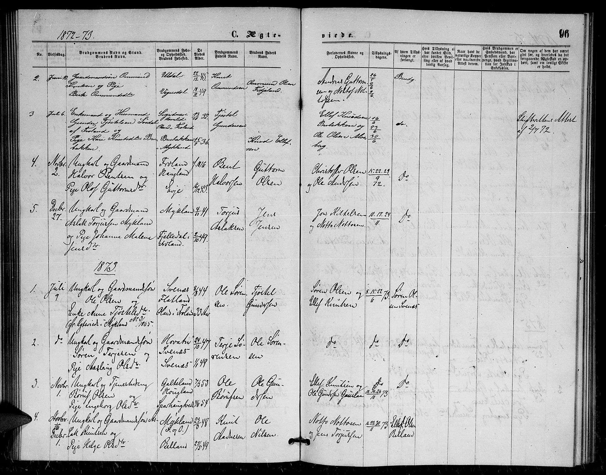 Herefoss sokneprestkontor, AV/SAK-1111-0019/F/Fa/Fac/L0001: Parish register (official) no. A 1, 1871-1886, p. 96