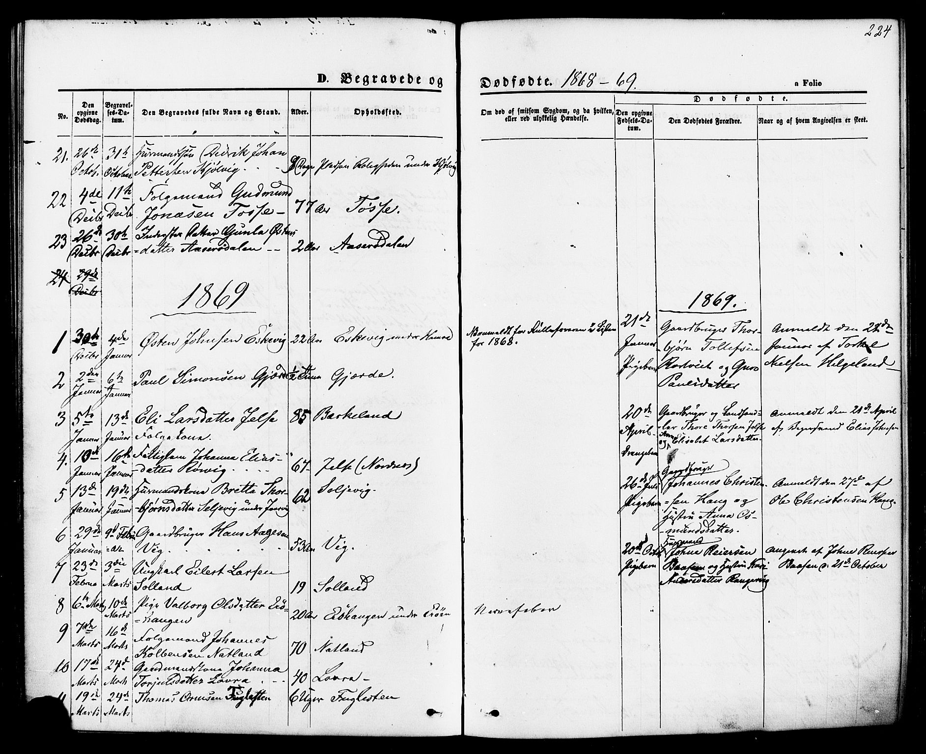 Jelsa sokneprestkontor, SAST/A-101842/01/IV: Parish register (official) no. A 8, 1867-1883, p. 224
