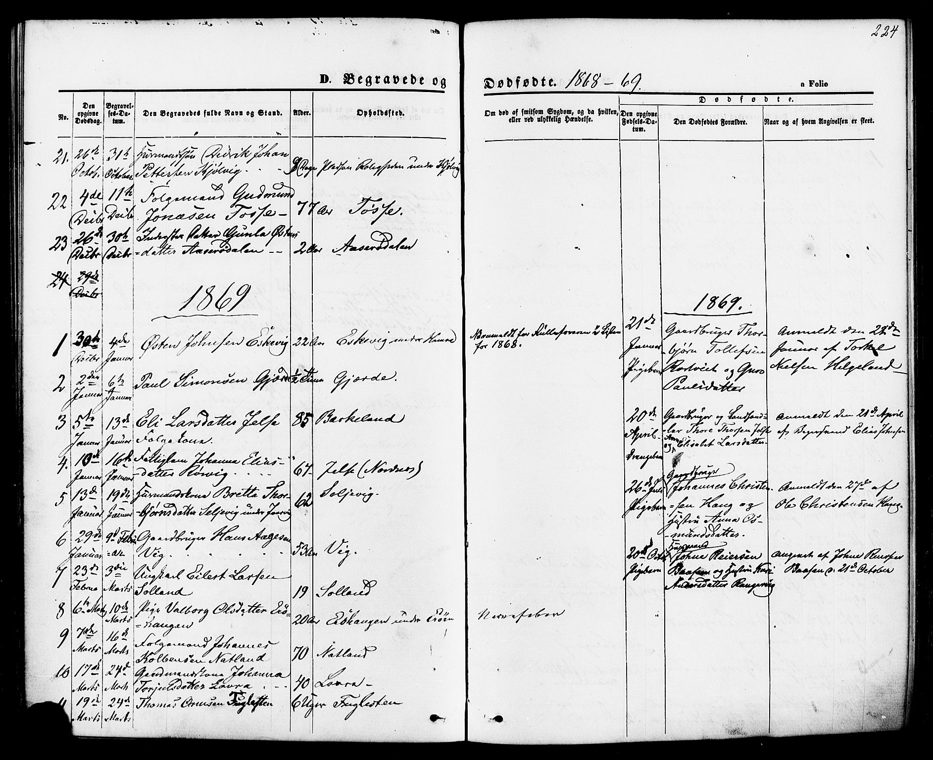 Jelsa sokneprestkontor, AV/SAST-A-101842/01/IV: Parish register (official) no. A 8, 1867-1883, p. 224