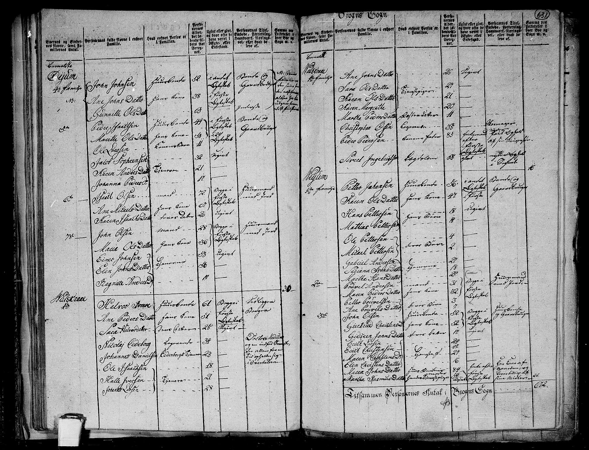 RA, 1801 census for 1744P Overhalla, 1801, p. 630b-631a