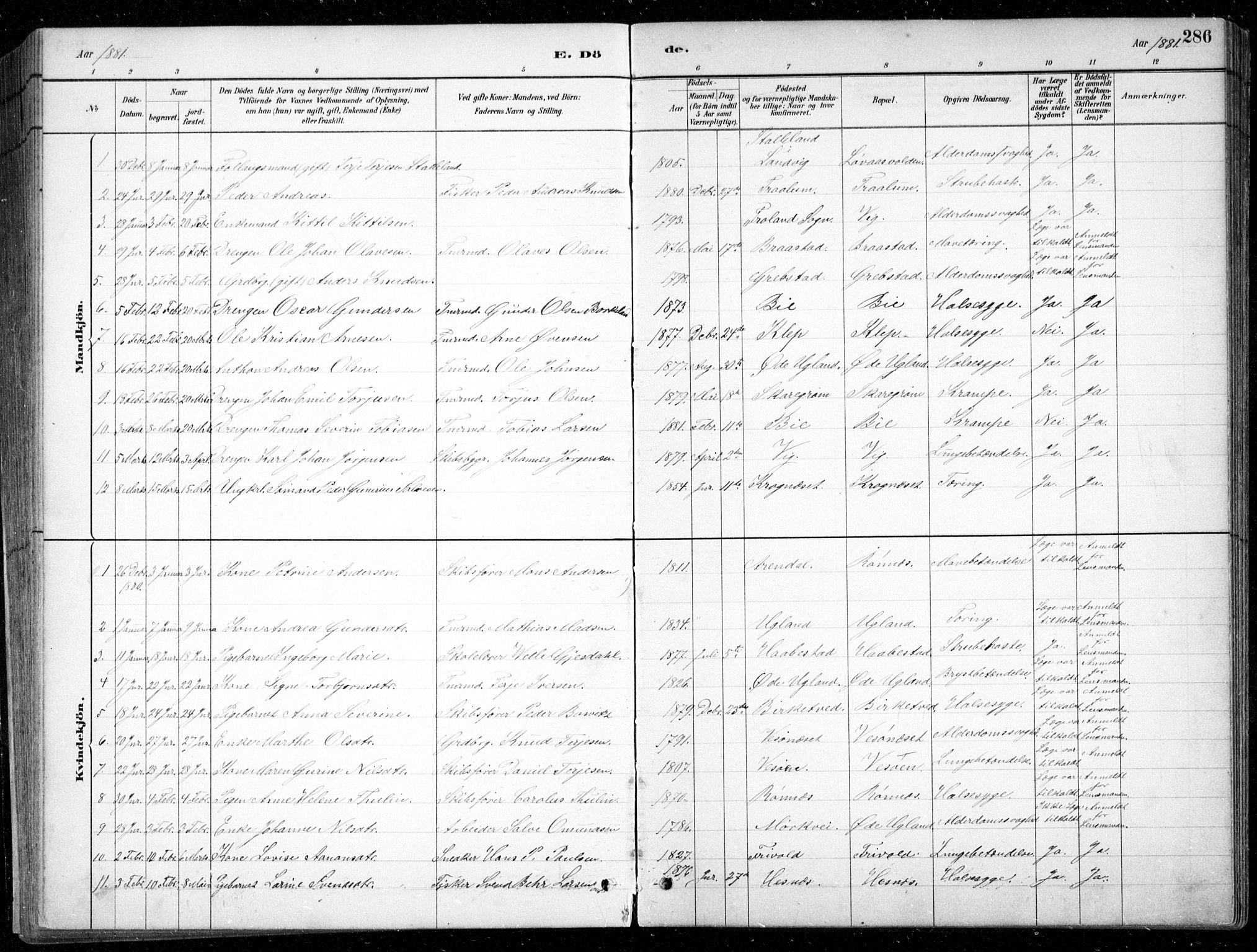 Fjære sokneprestkontor, AV/SAK-1111-0011/F/Fb/L0011: Parish register (copy) no. B 11, 1881-1905, p. 286