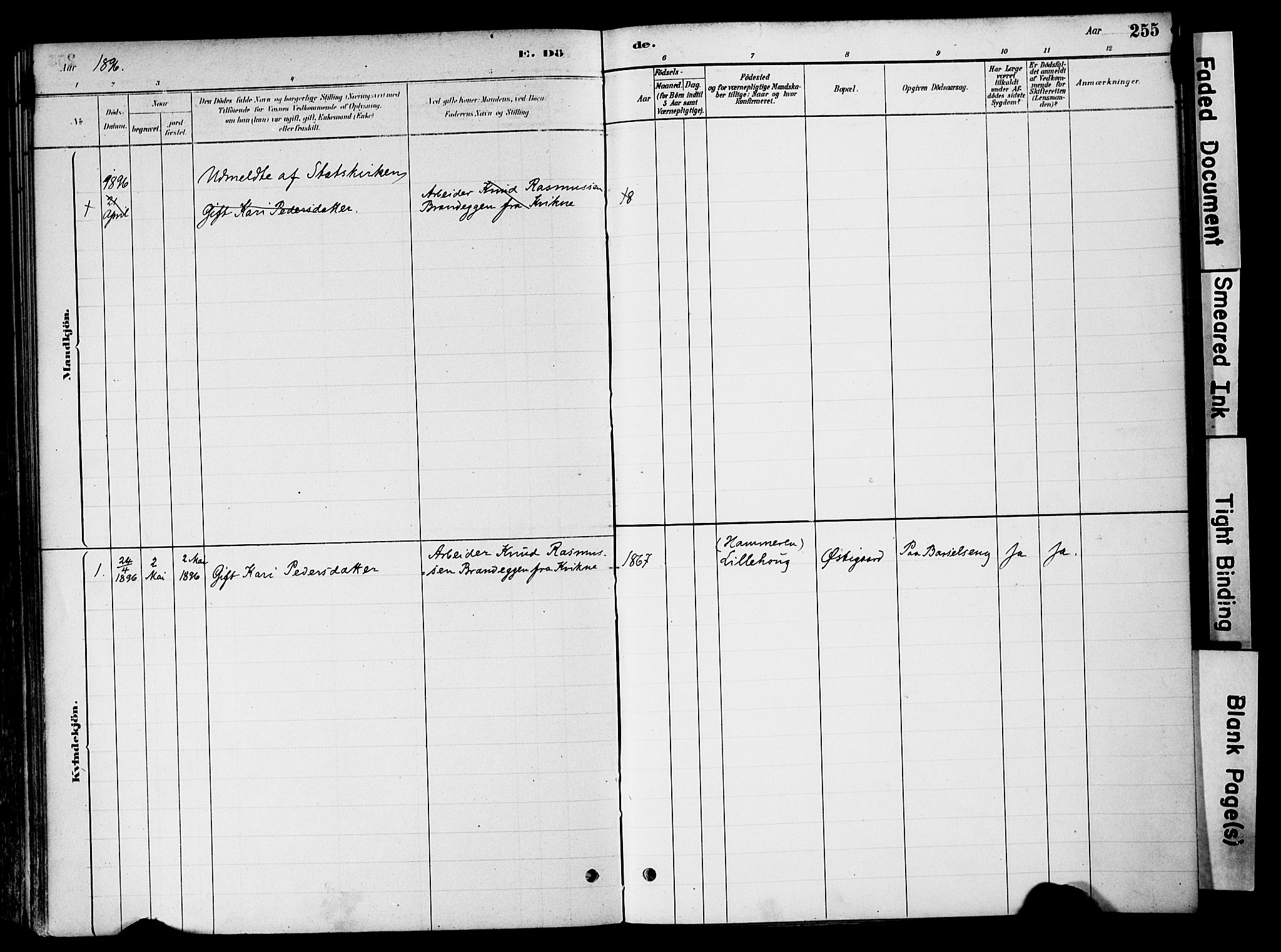 Tynset prestekontor, SAH/PREST-058/H/Ha/Haa/L0022: Parish register (official) no. 22, 1880-1899, p. 255