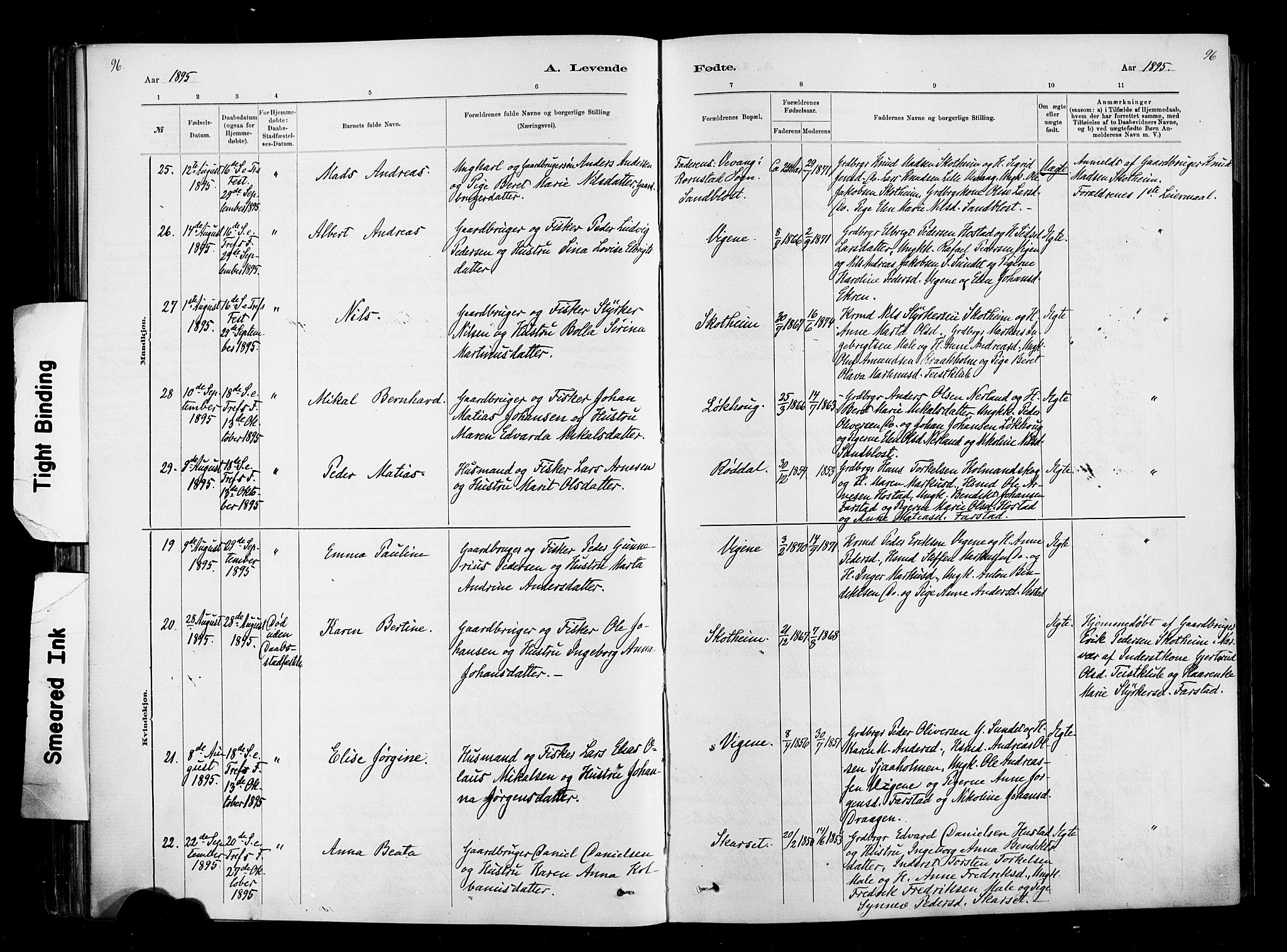 Ministerialprotokoller, klokkerbøker og fødselsregistre - Møre og Romsdal, AV/SAT-A-1454/567/L0778: Parish register (official) no. 567A01, 1881-1903, p. 96