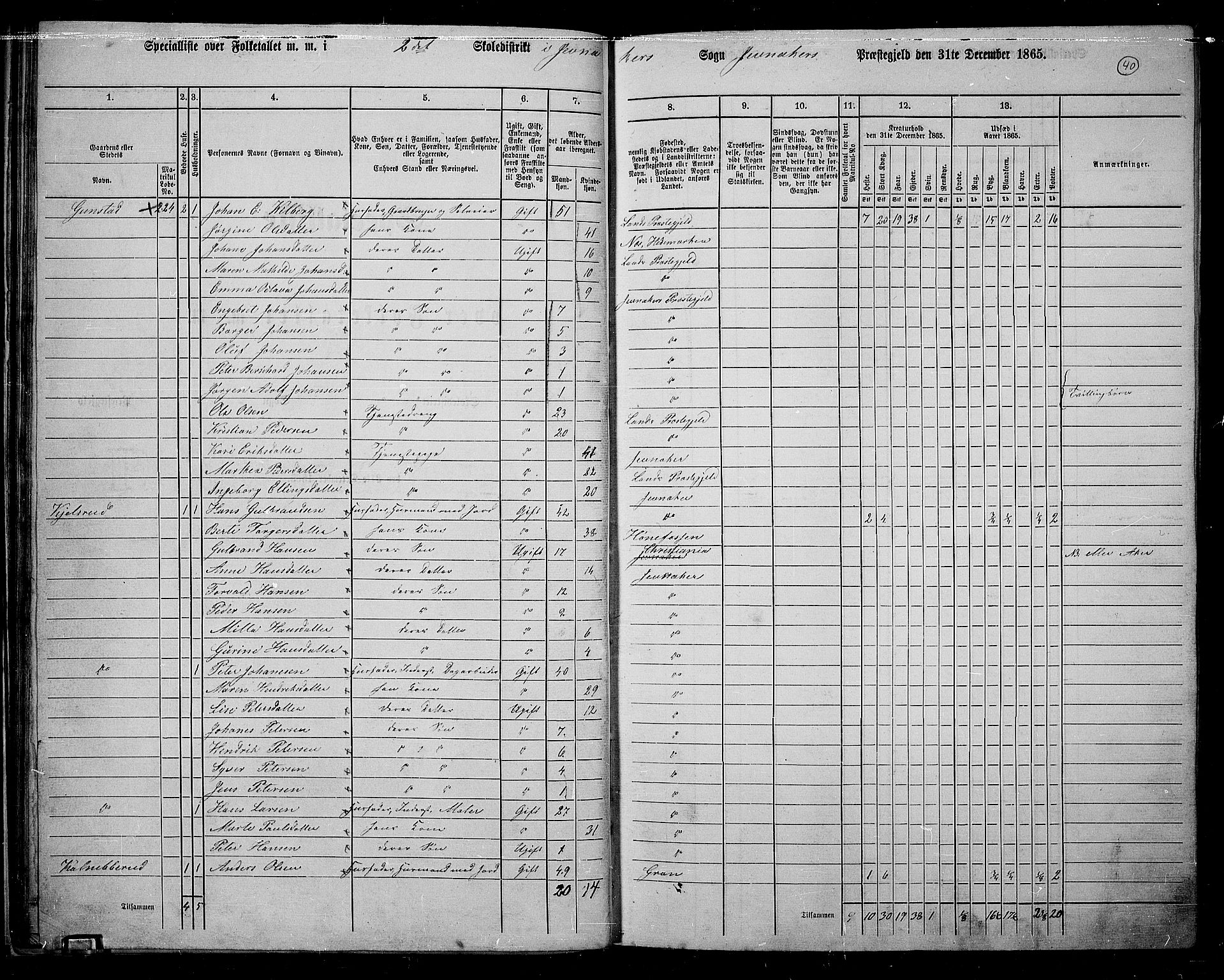 RA, 1865 census for Jevnaker, 1865, p. 38