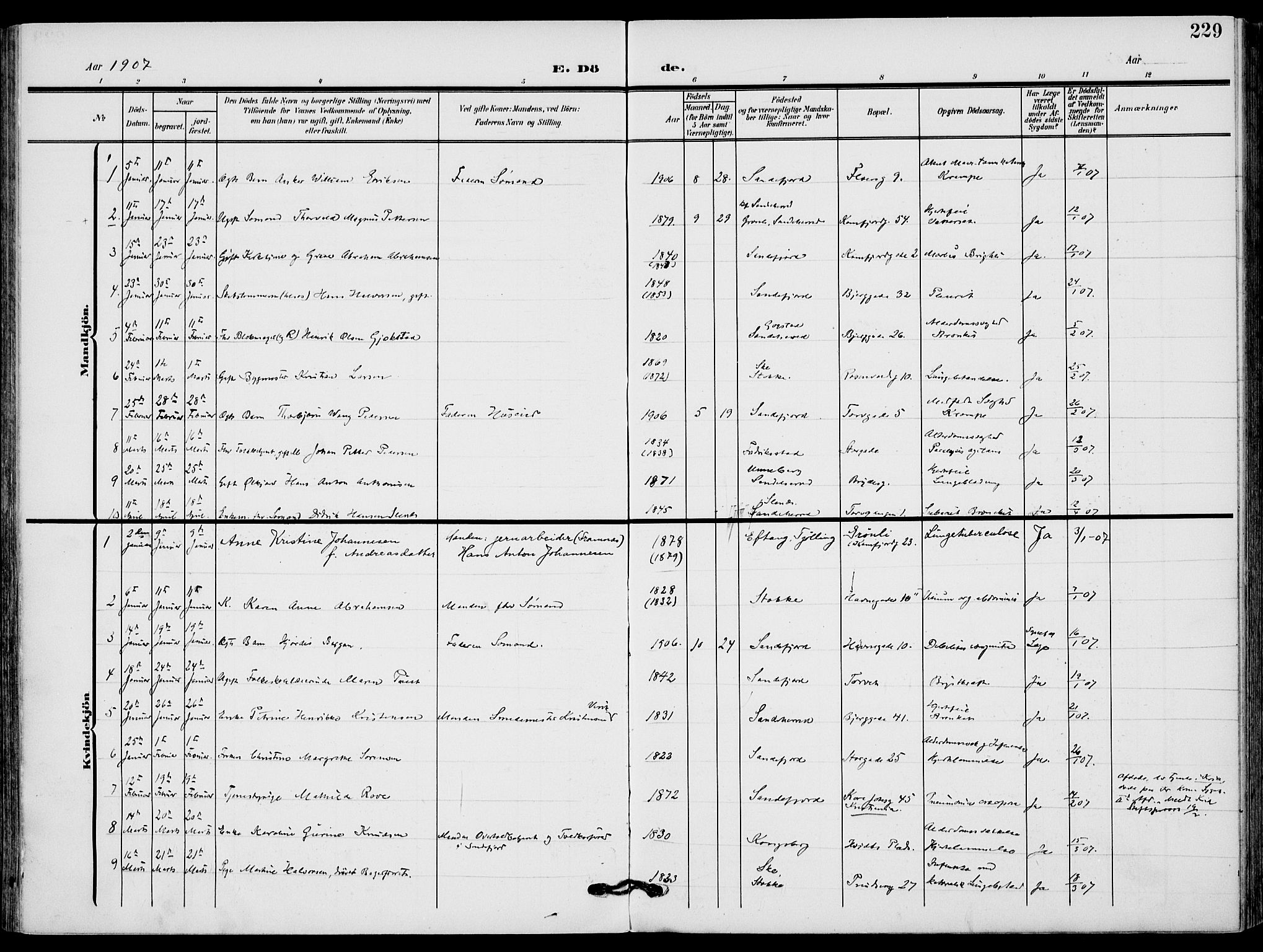 Sandefjord kirkebøker, AV/SAKO-A-315/F/Fa/L0005: Parish register (official) no. 5, 1906-1915, p. 229