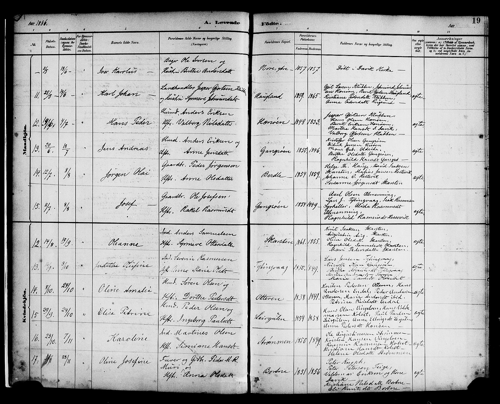 Davik sokneprestembete, AV/SAB-A-79701/H/Haa/Haad/L0001: Parish register (official) no. D 1, 1882-1900, p. 19