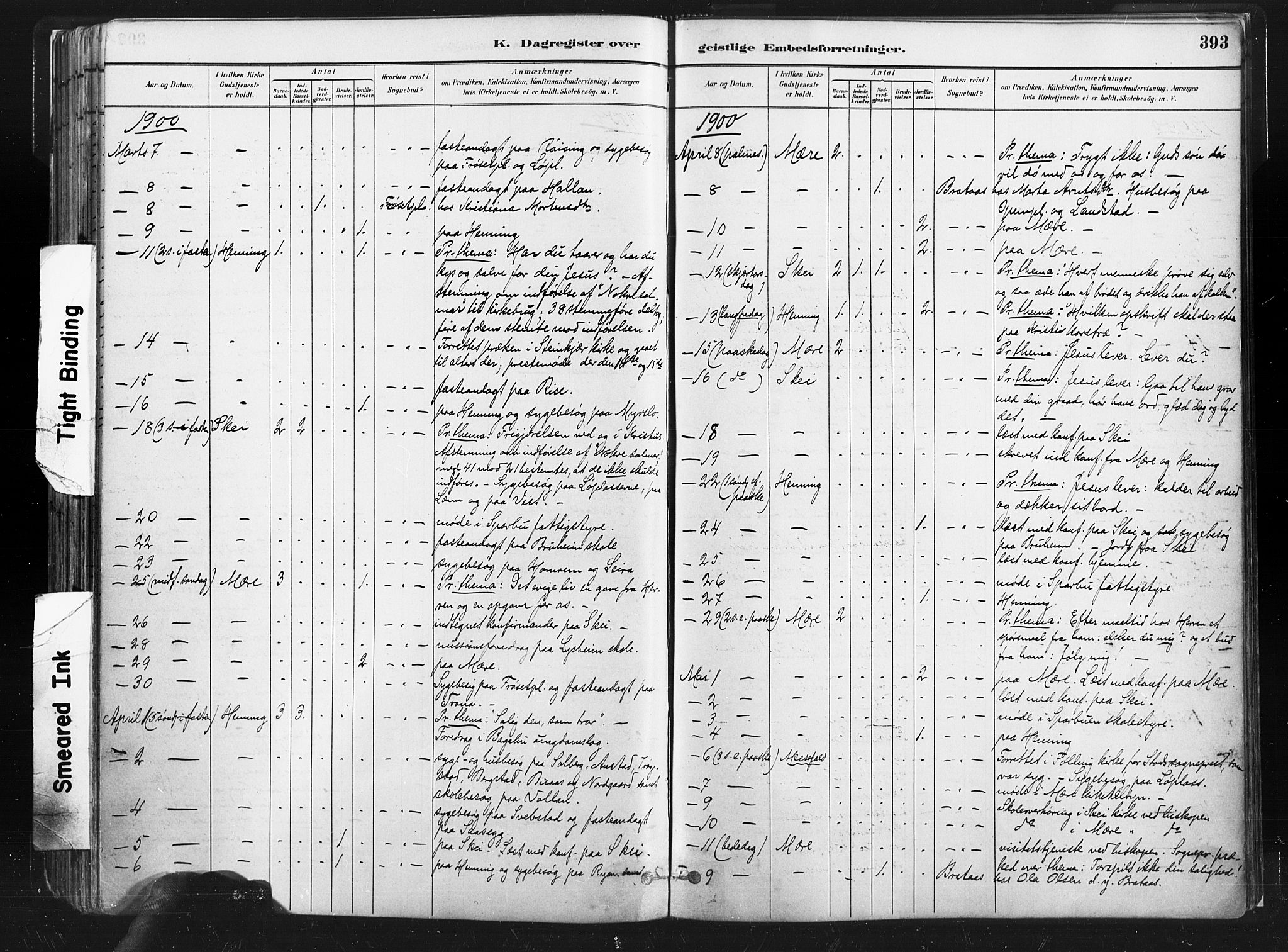 Ministerialprotokoller, klokkerbøker og fødselsregistre - Nord-Trøndelag, AV/SAT-A-1458/735/L0351: Parish register (official) no. 735A10, 1884-1908, p. 393