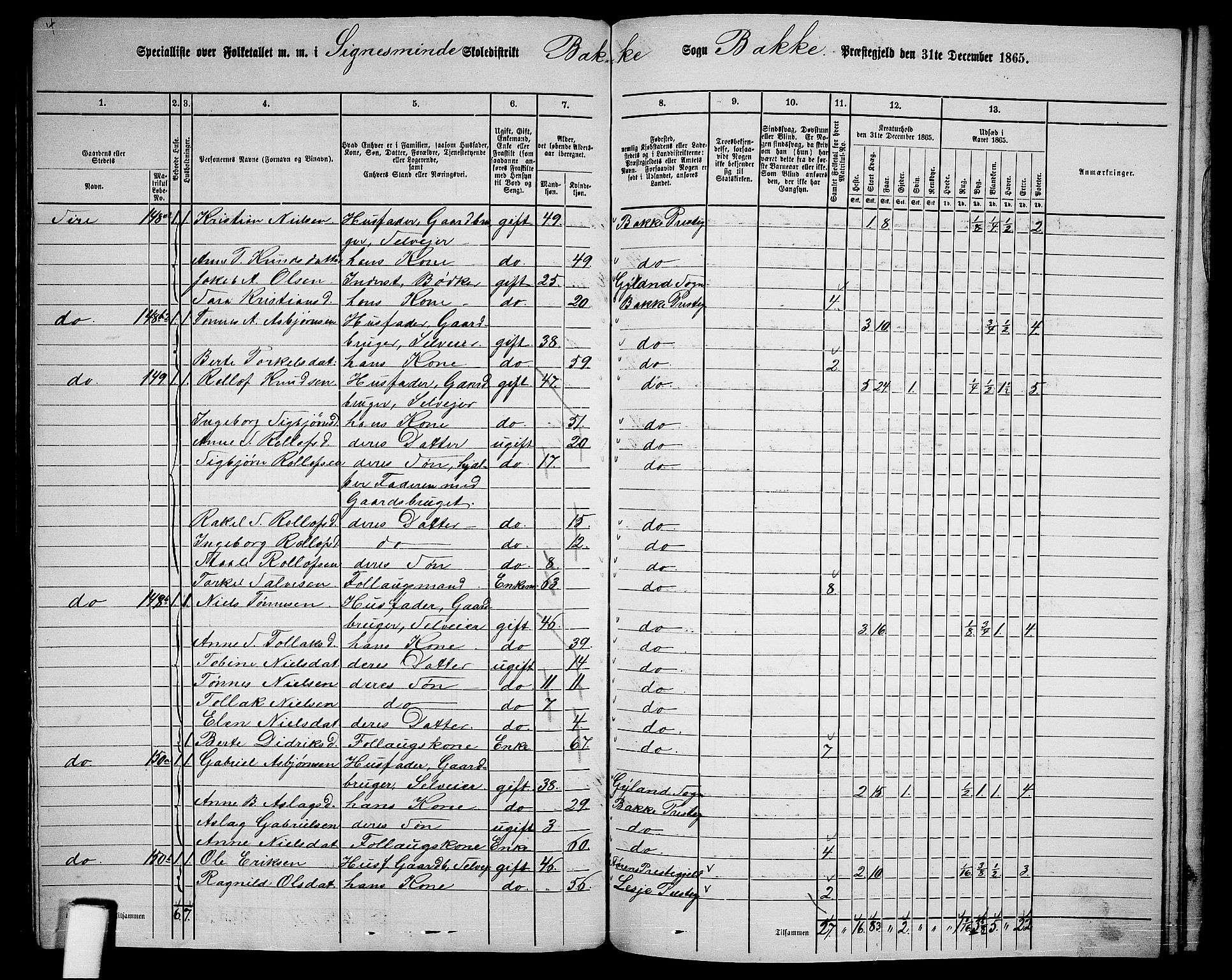 RA, 1865 census for Bakke, 1865, p. 95