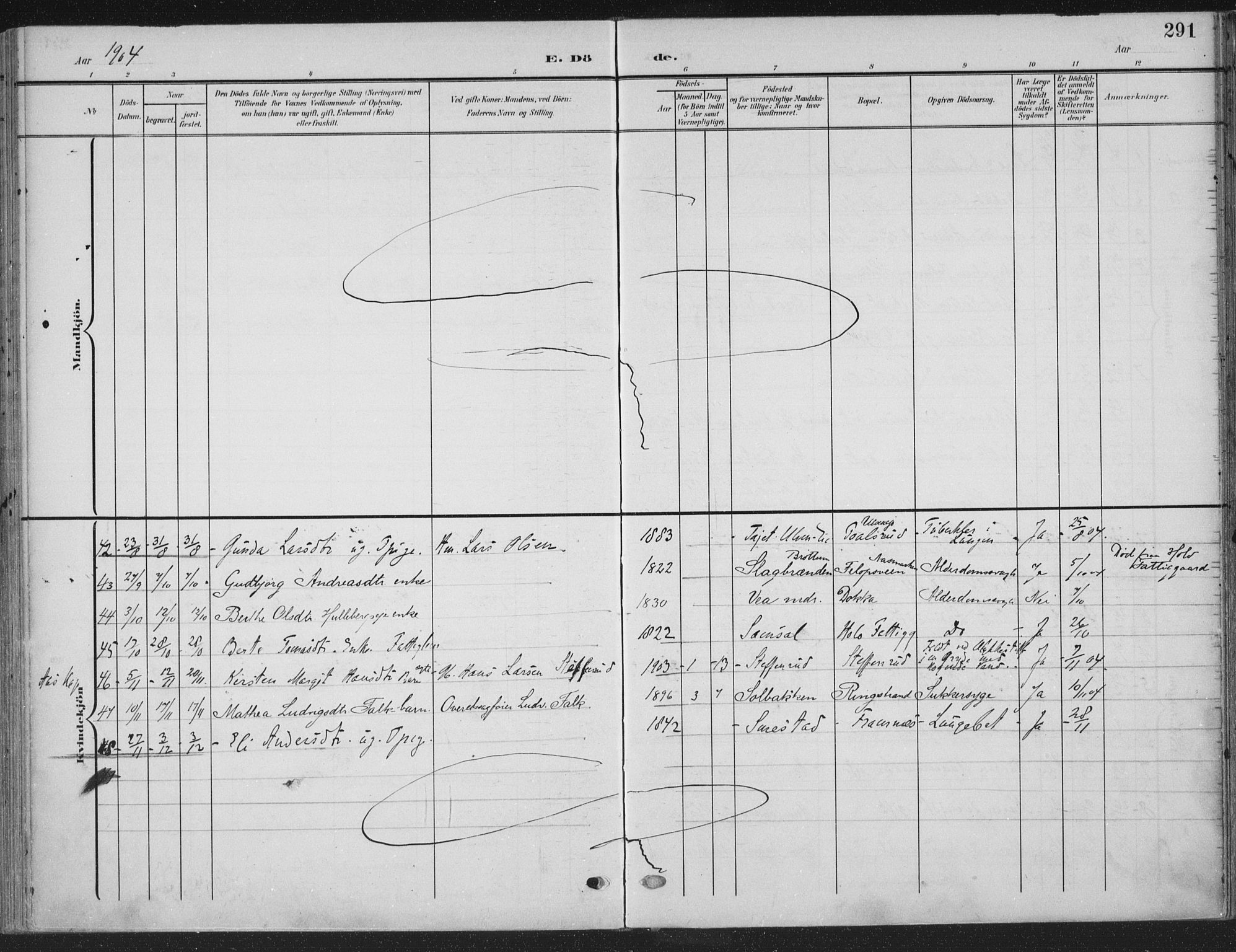 Ringsaker prestekontor, SAH/PREST-014/K/Ka/L0018: Parish register (official) no. 18, 1903-1912, p. 291