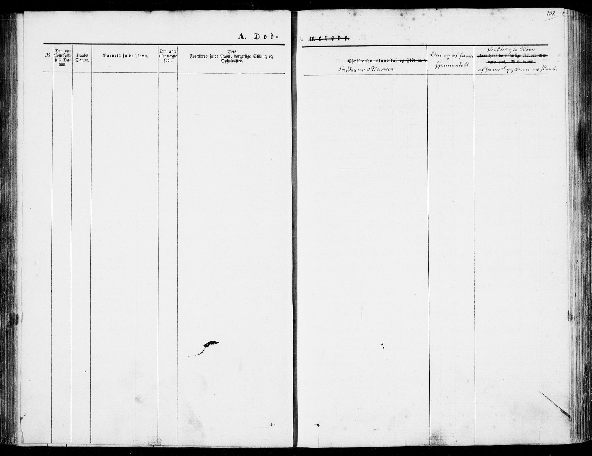 Ministerialprotokoller, klokkerbøker og fødselsregistre - Møre og Romsdal, AV/SAT-A-1454/528/L0397: Parish register (official) no. 528A08, 1848-1858, p. 132