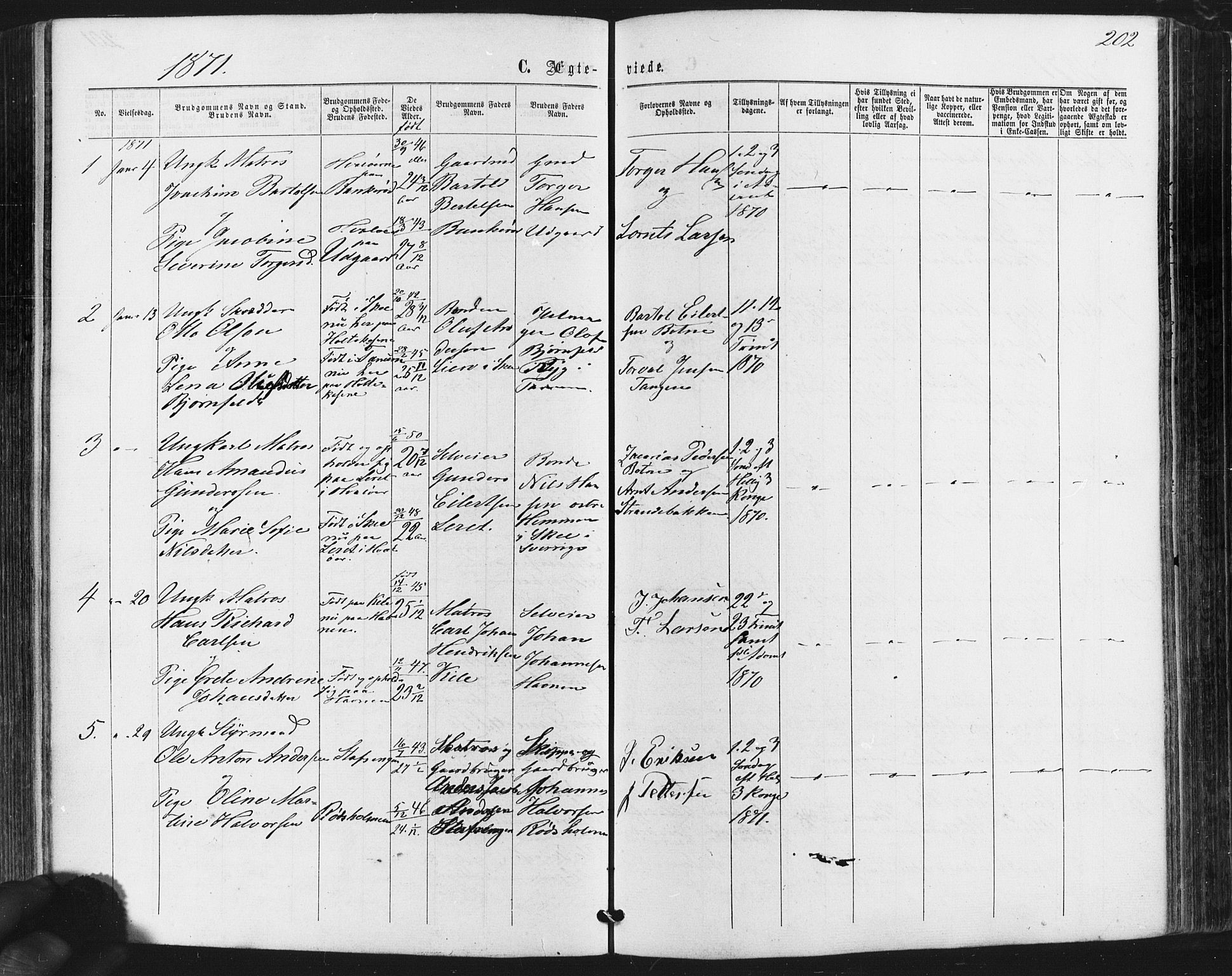 Hvaler prestekontor Kirkebøker, SAO/A-2001/F/Fa/L0007: Parish register (official) no. I 7, 1864-1878, p. 202