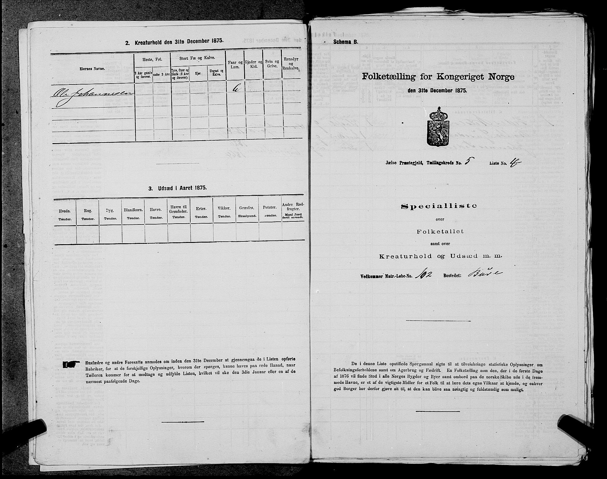 SAST, 1875 census for 1138P Jelsa, 1875, p. 417