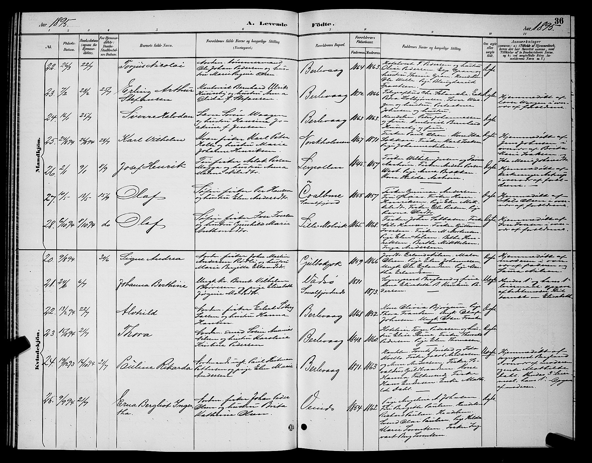 Tana sokneprestkontor, SATØ/S-1334/H/Hb/L0004klokker: Parish register (copy) no. 4, 1890-1903, p. 36