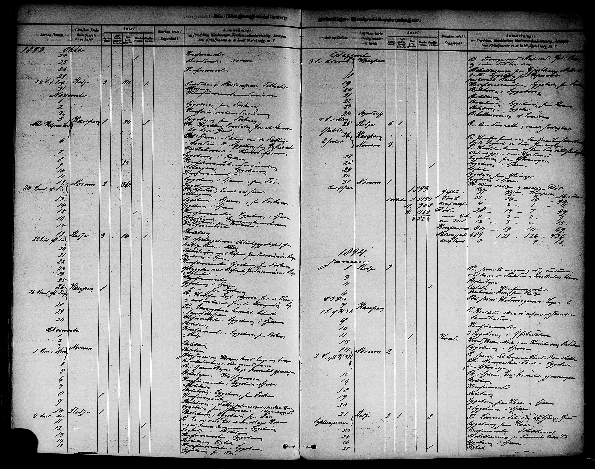 Sogndal sokneprestembete, SAB/A-81301/H/Haa/Haab/L0001: Parish register (official) no. B 1, 1878-1899, p. 243