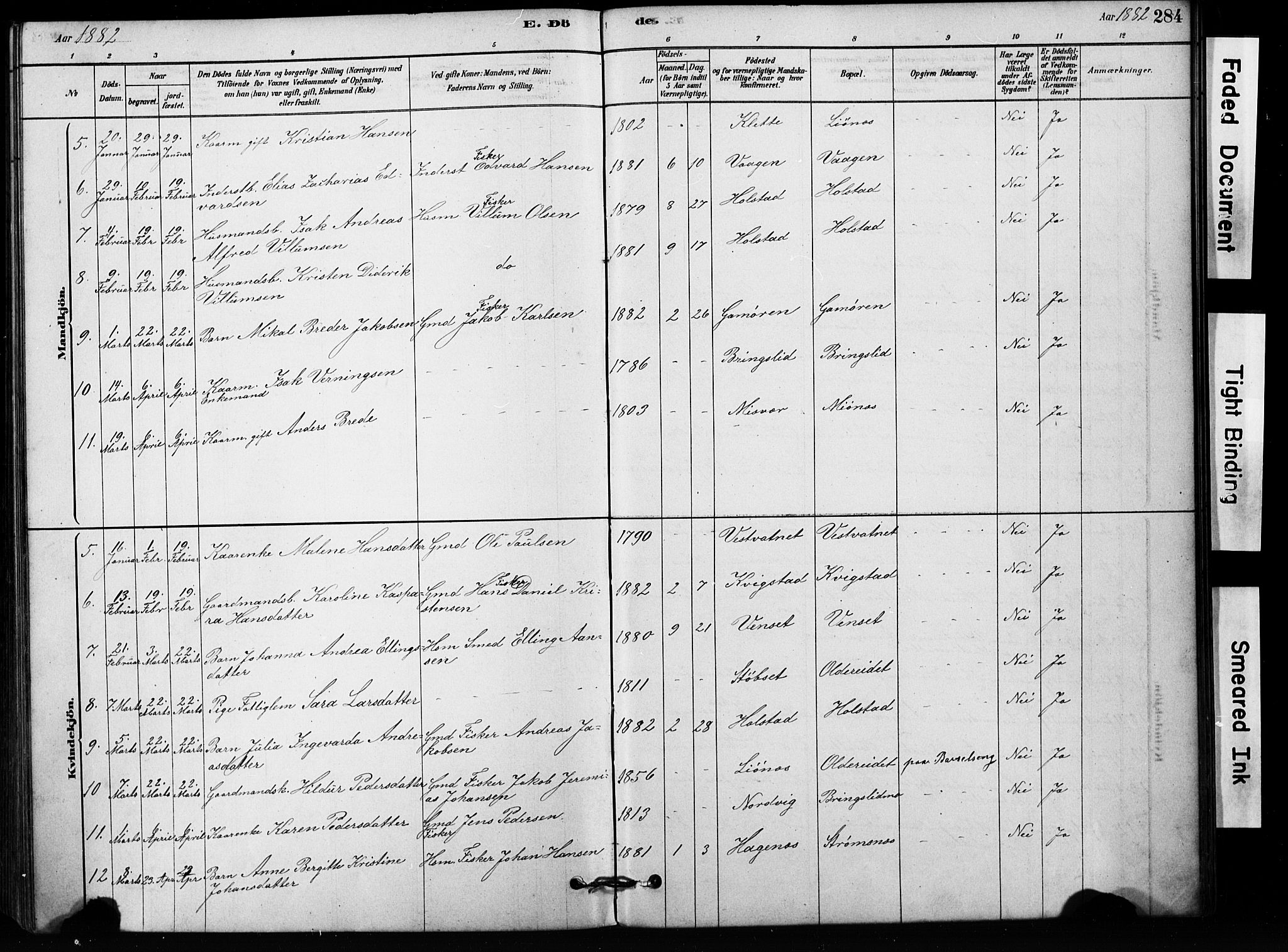 Ministerialprotokoller, klokkerbøker og fødselsregistre - Nordland, AV/SAT-A-1459/852/L0754: Parish register (copy) no. 852C05, 1878-1894, p. 284