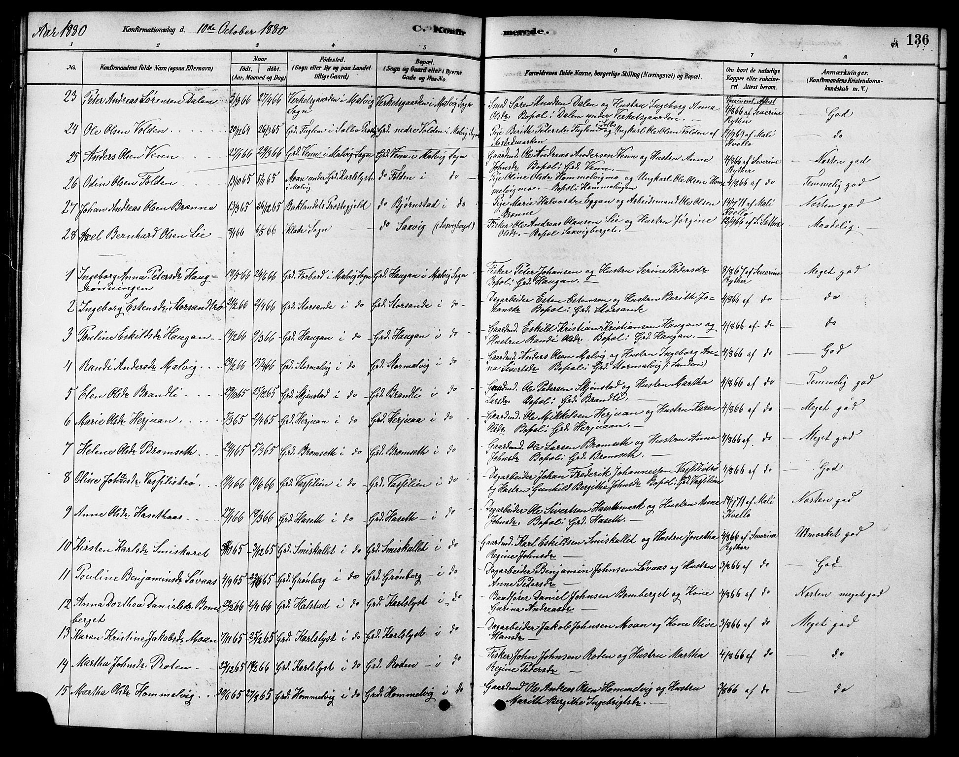 Ministerialprotokoller, klokkerbøker og fødselsregistre - Sør-Trøndelag, SAT/A-1456/616/L0423: Parish register (copy) no. 616C06, 1878-1903, p. 136
