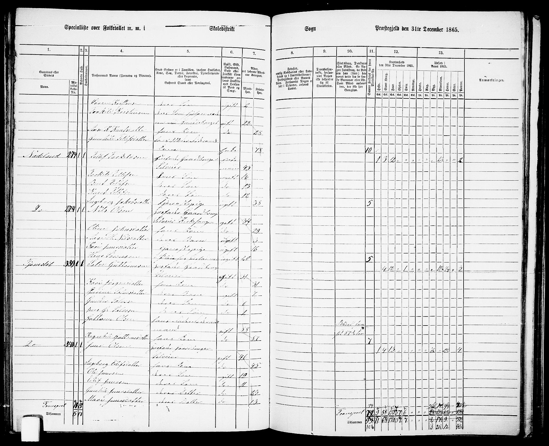 RA, 1865 census for Evje, 1865, p. 135