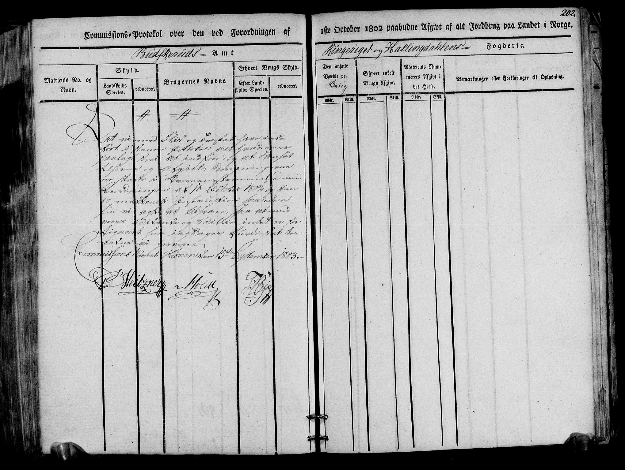 Rentekammeret inntil 1814, Realistisk ordnet avdeling, AV/RA-EA-4070/N/Ne/Nea/L0047: Ringerike og Hallingdal fogderi. Kommisjonsprotokoll for Nes prestegjeld, 1803, p. 206