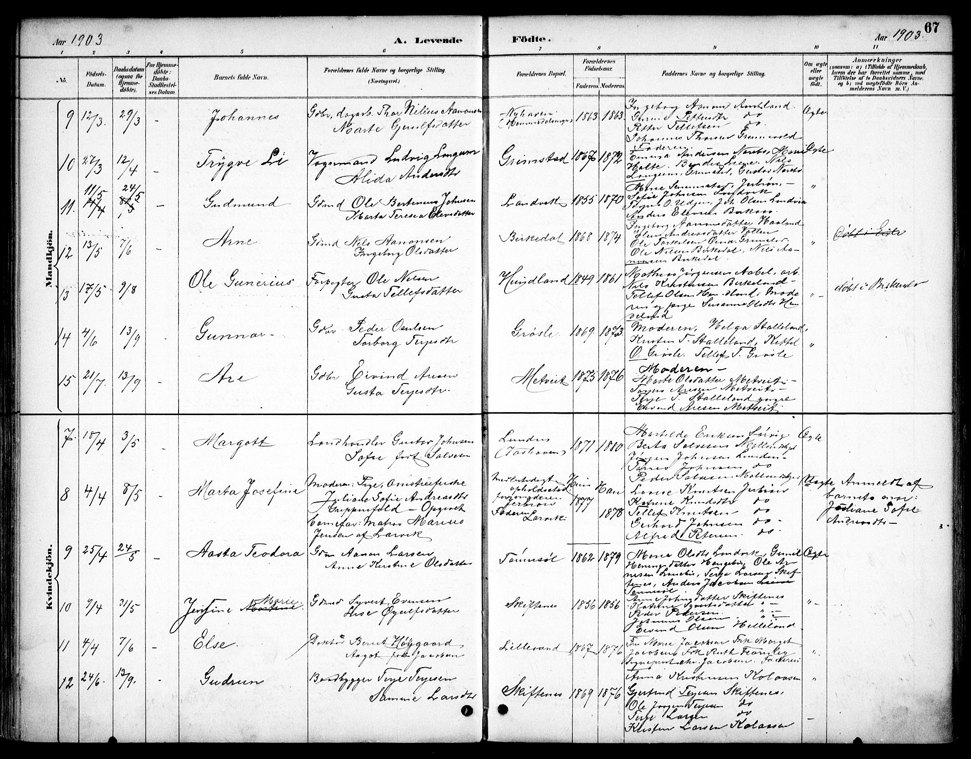 Hommedal sokneprestkontor, AV/SAK-1111-0023/F/Fb/Fbb/L0007: Parish register (copy) no. B 7, 1885-1904, p. 67