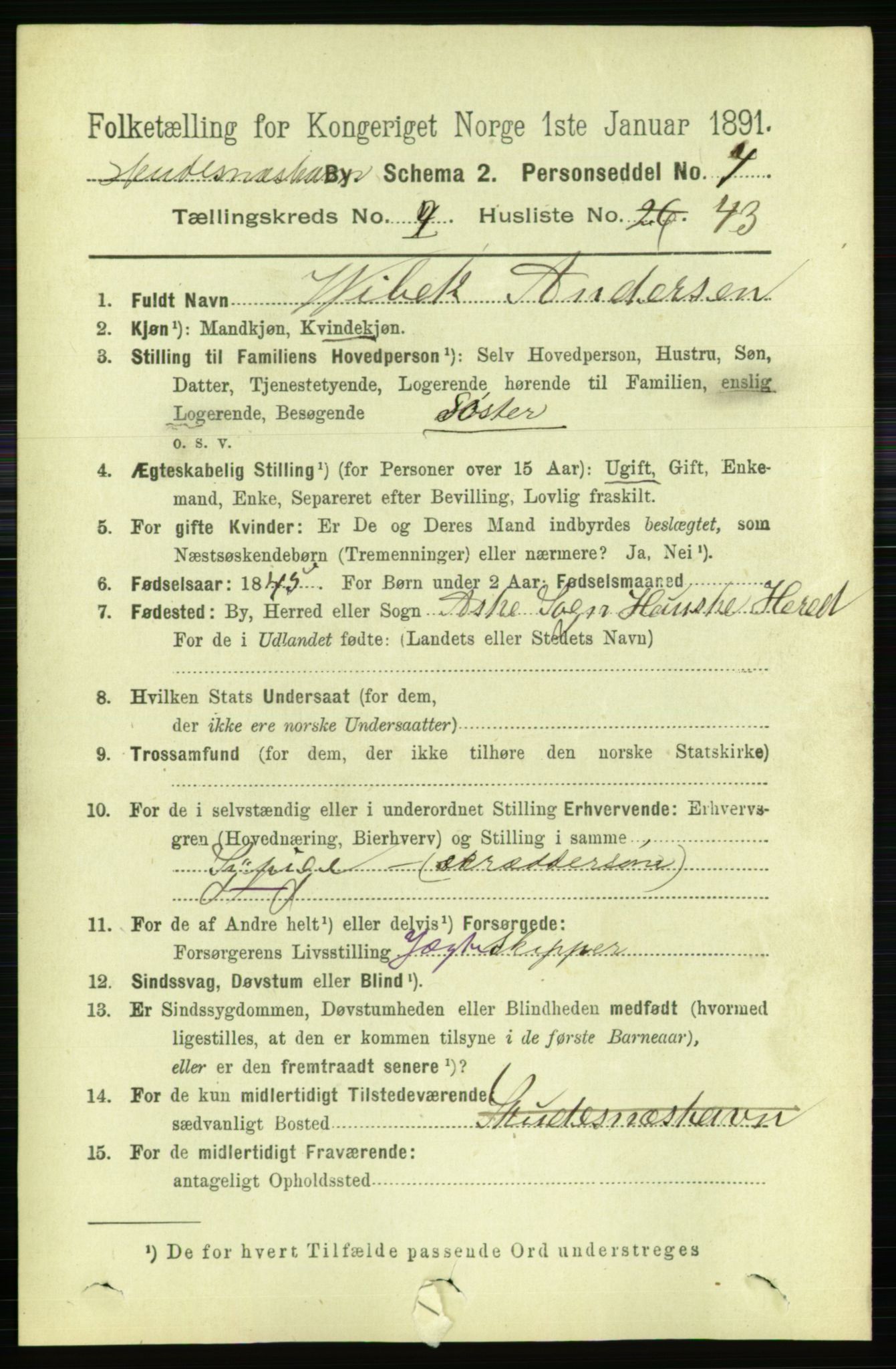 RA, 1891 census for 1104 Skudeneshavn, 1891, p. 829