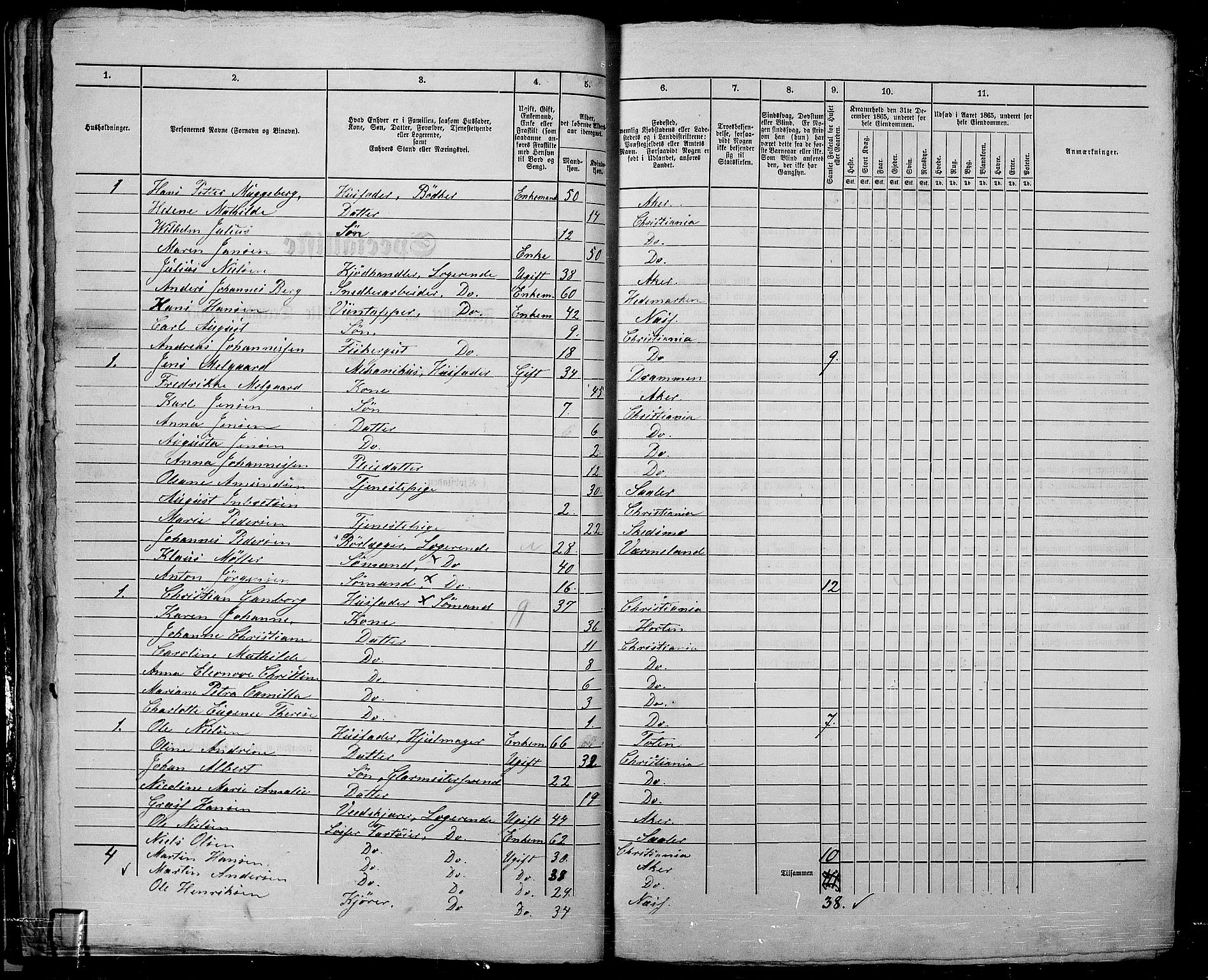 RA, 1865 census for Kristiania, 1865, p. 1147