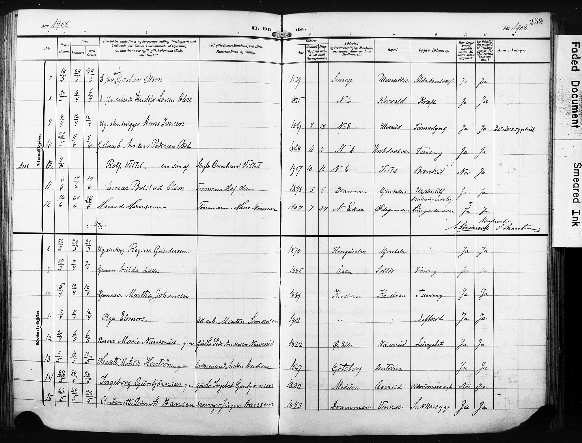 Nedre Eiker kirkebøker, AV/SAKO-A-612/F/Fa/L0006: Parish register (official) no. 6, 1906-1912, p. 259