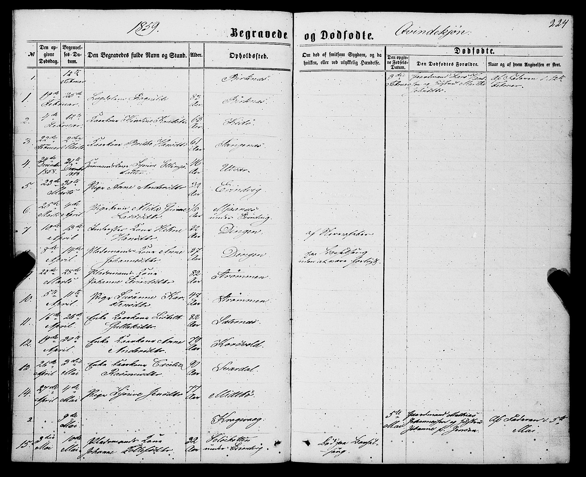 Gulen sokneprestembete, SAB/A-80201/H/Haa/Haaa/L0022: Parish register (official) no. A 22, 1859-1869, p. 224