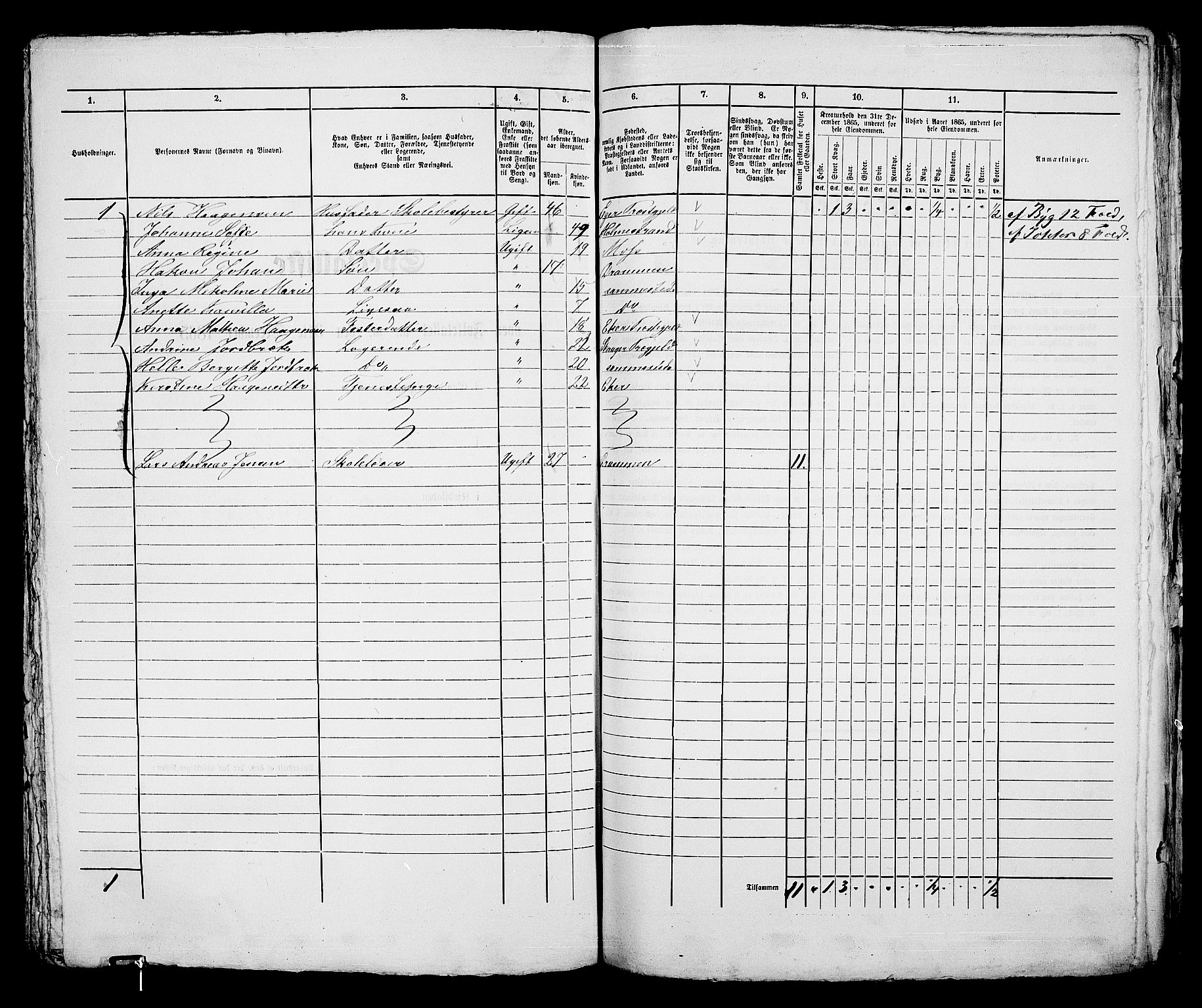 RA, 1865 census for Bragernes in Drammen, 1865, p. 379