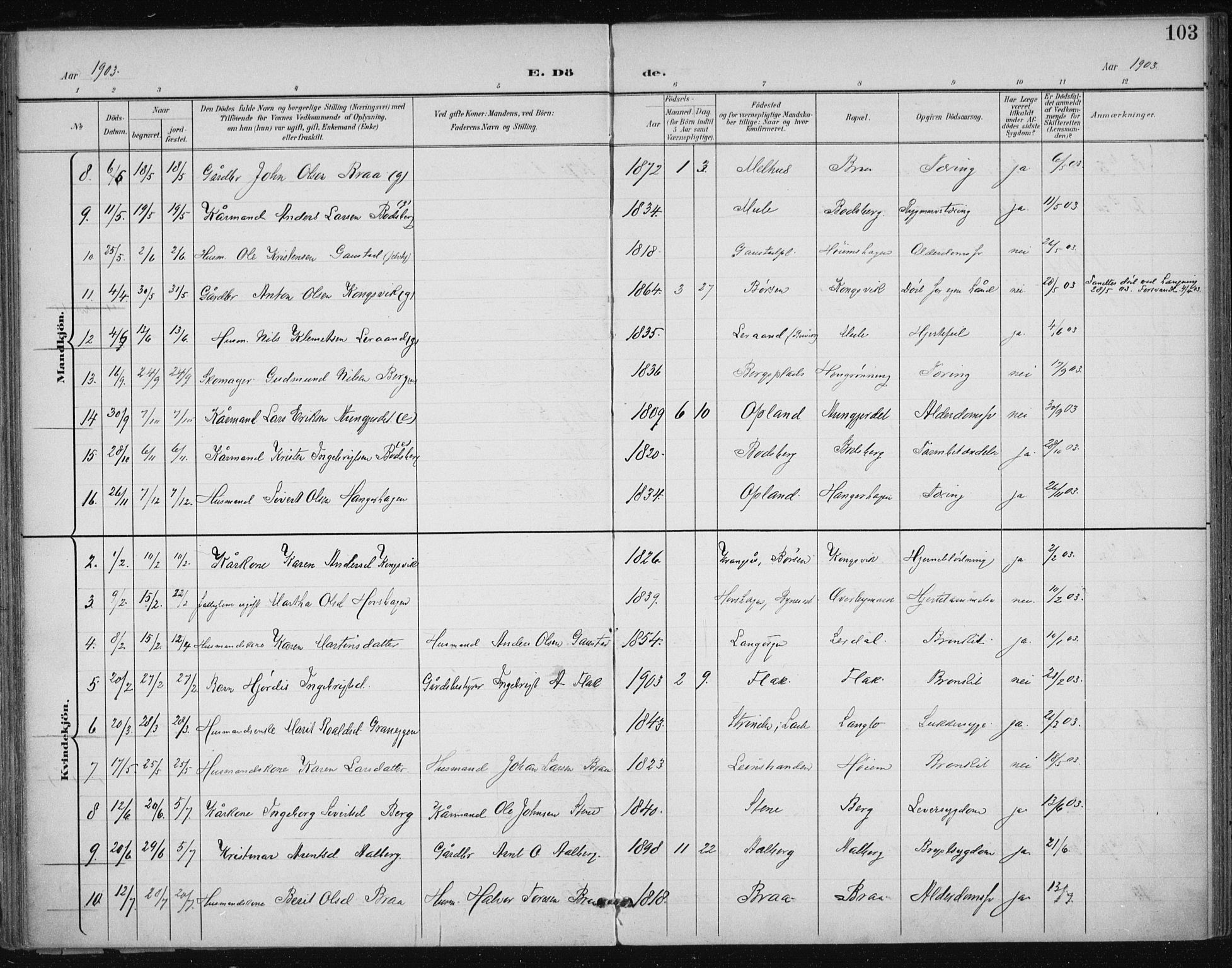 Ministerialprotokoller, klokkerbøker og fødselsregistre - Sør-Trøndelag, SAT/A-1456/612/L0380: Parish register (official) no. 612A12, 1898-1907, p. 103